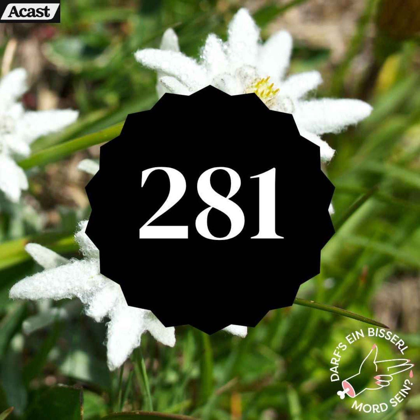 Episode 281: Edelweiss (Sektember)