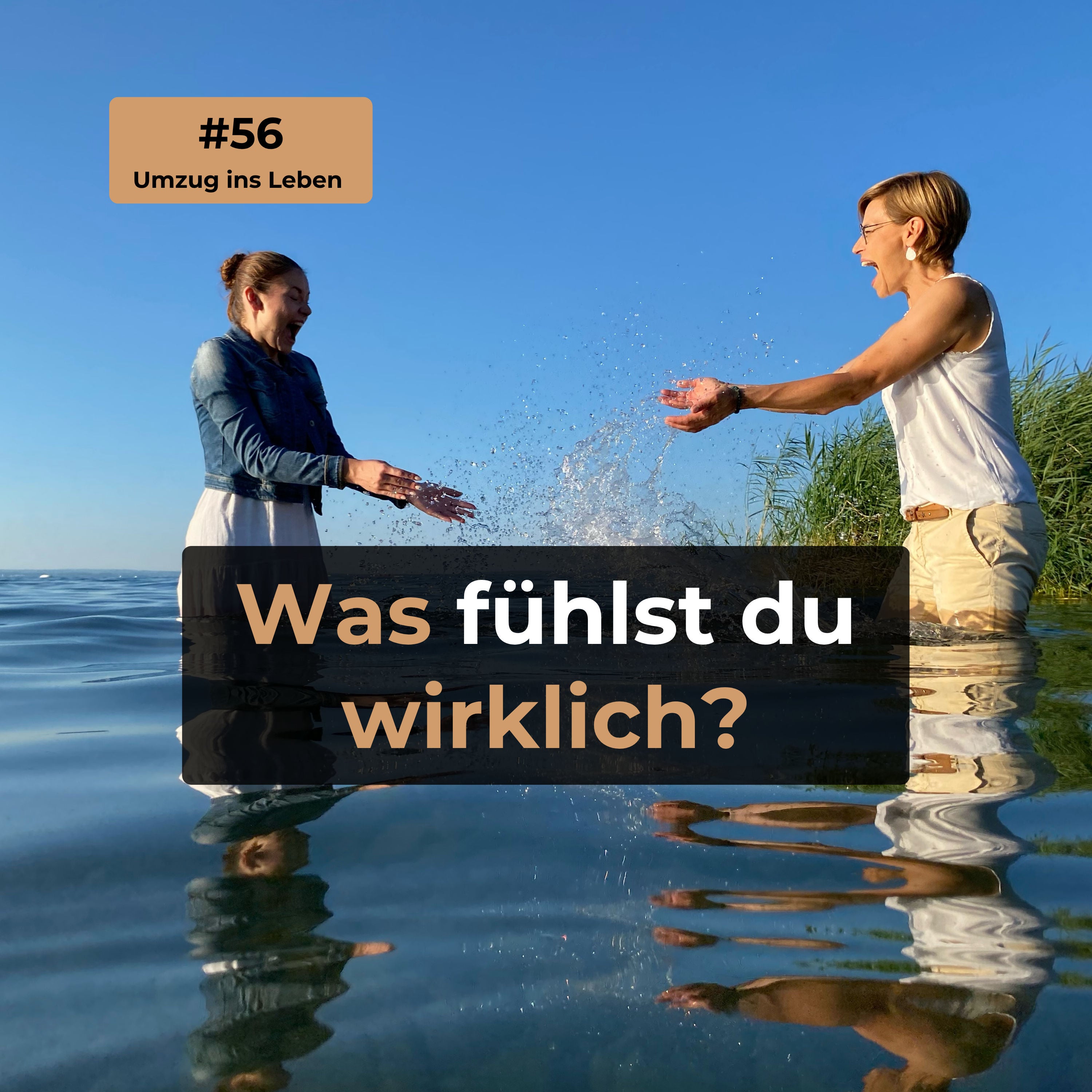 #56 Was fühlst du wirklich?