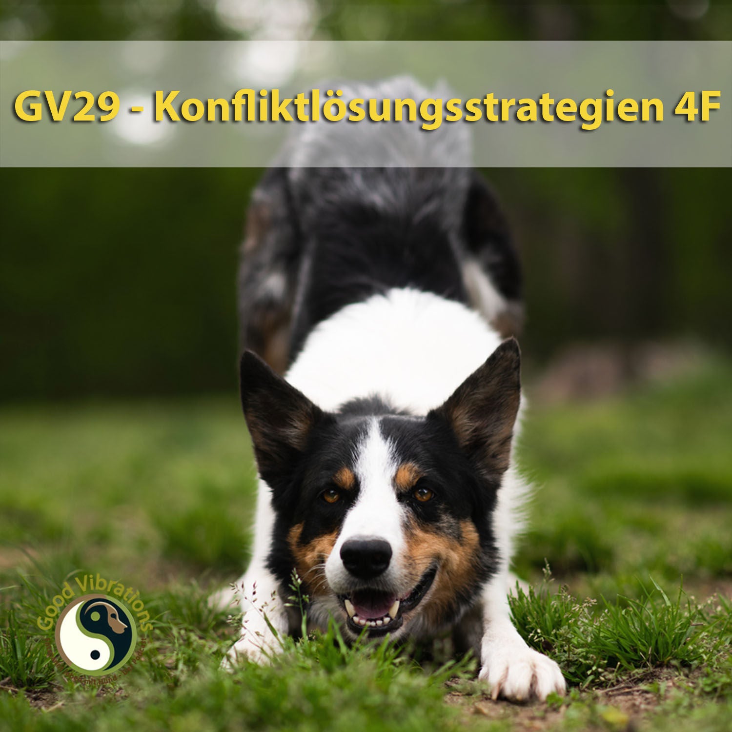 GV 29_Die 4 F der Konfliktlösung