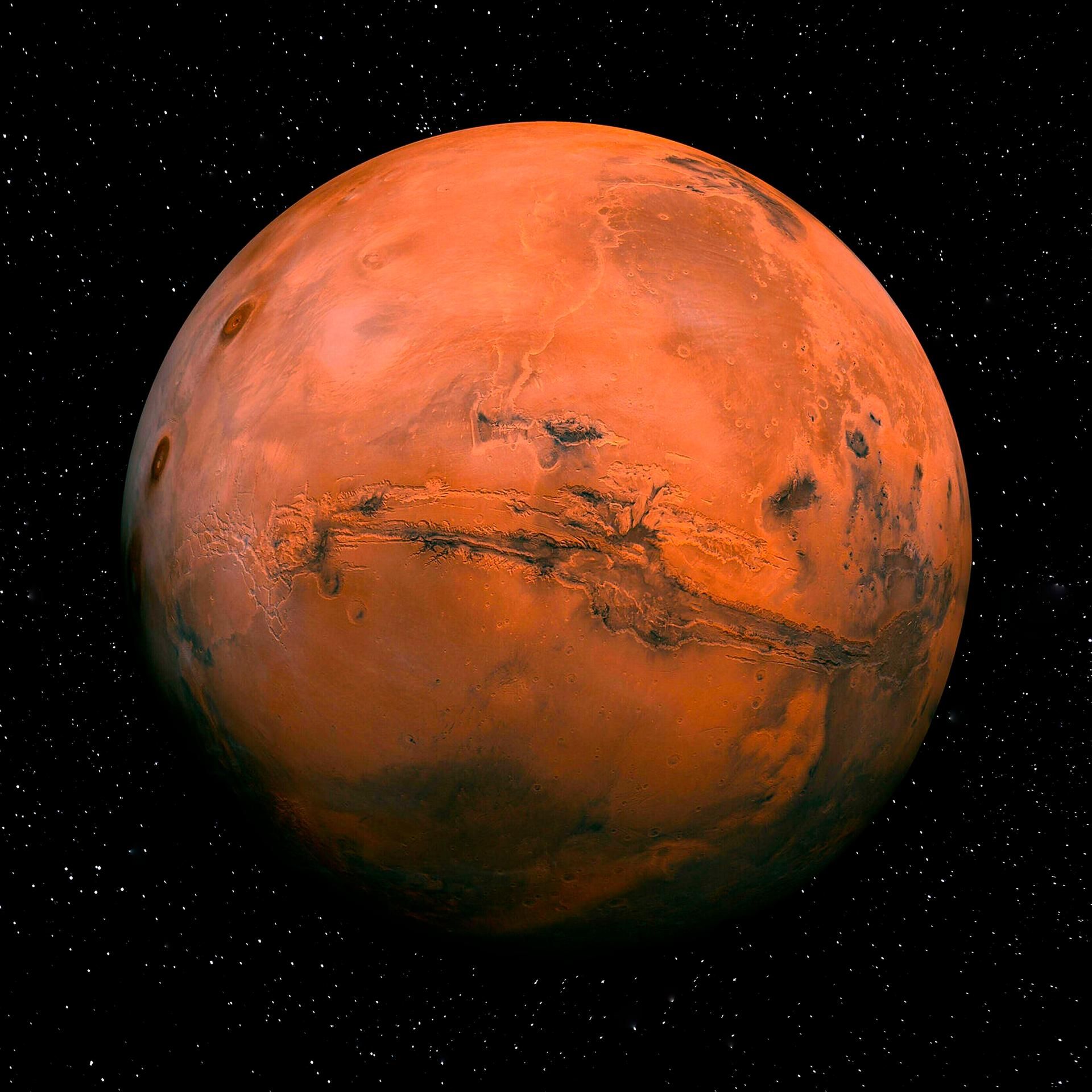 Kakadu - bei euch - Louna will Astronautin werden