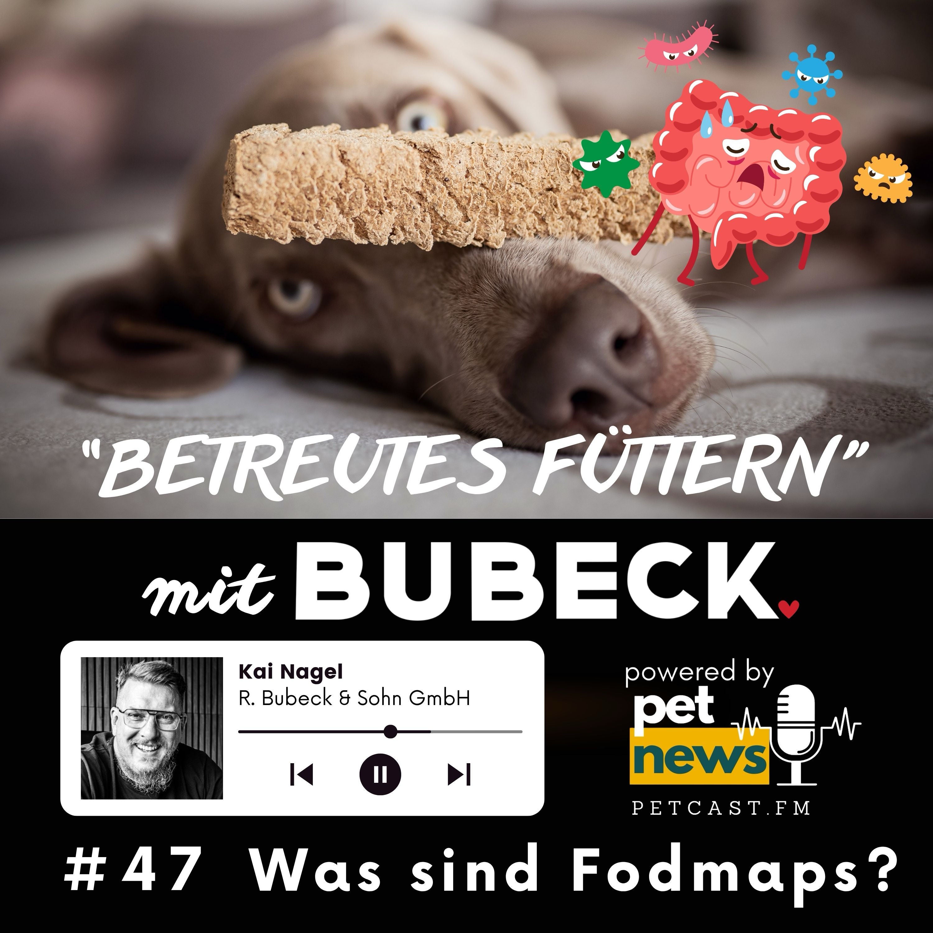 #47 - Low FODMAP, der nächste Ernährungstrend für unsere Hunde?
