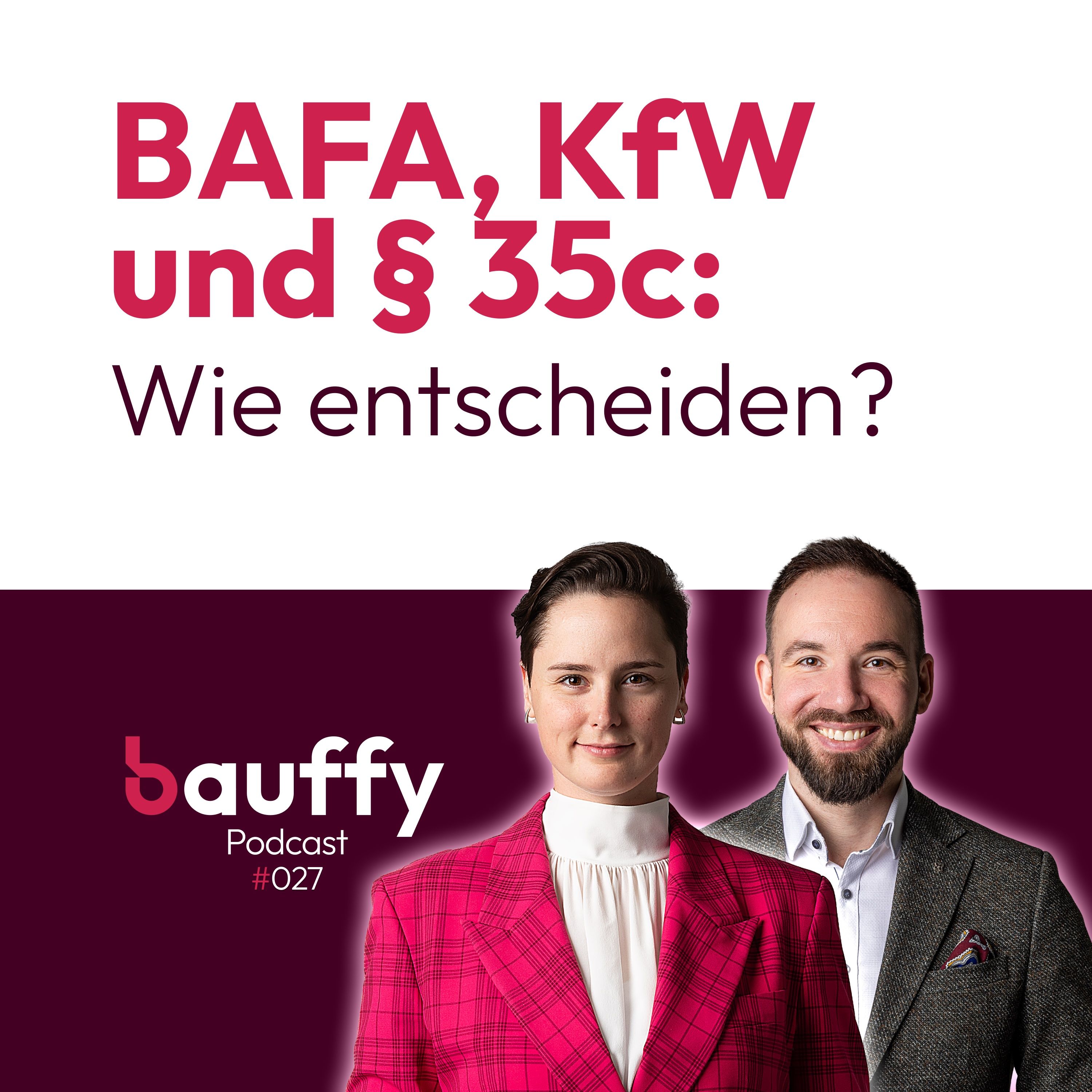BAFA, KfW 458 und § 35c: entscheiden nach Steuerlast und Maßnahme