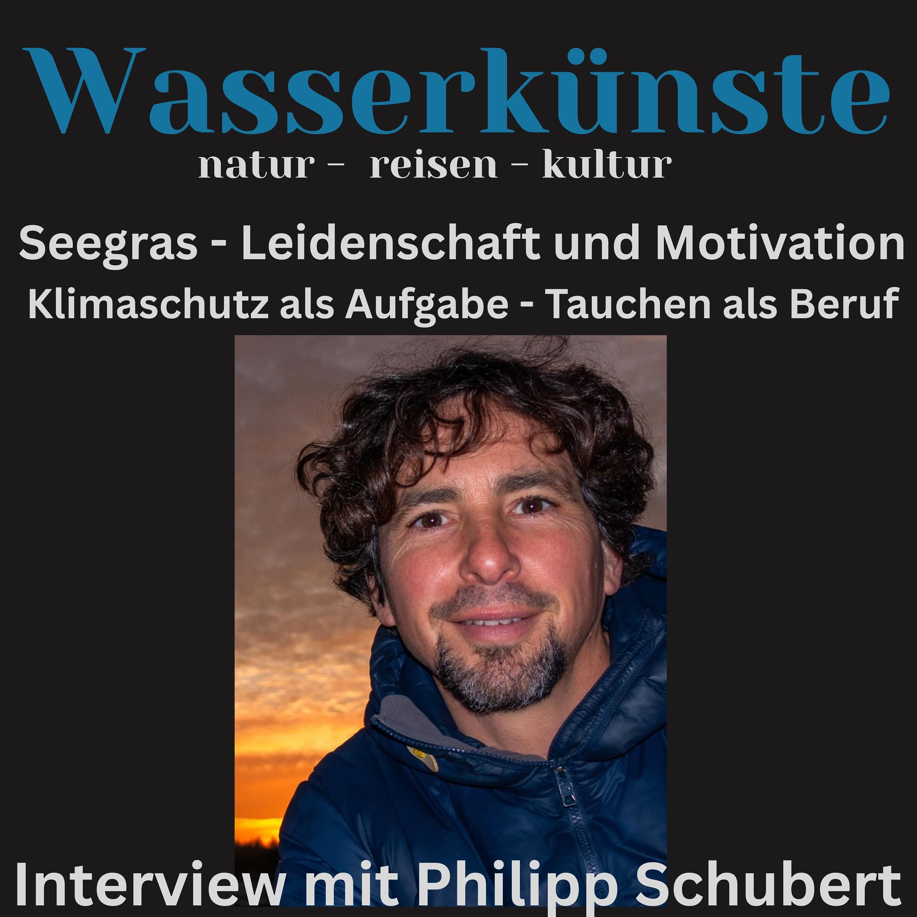 Superheld Seegras - Kann diese Pflanze unsere Meere, Ozeane und unser Klima retten?