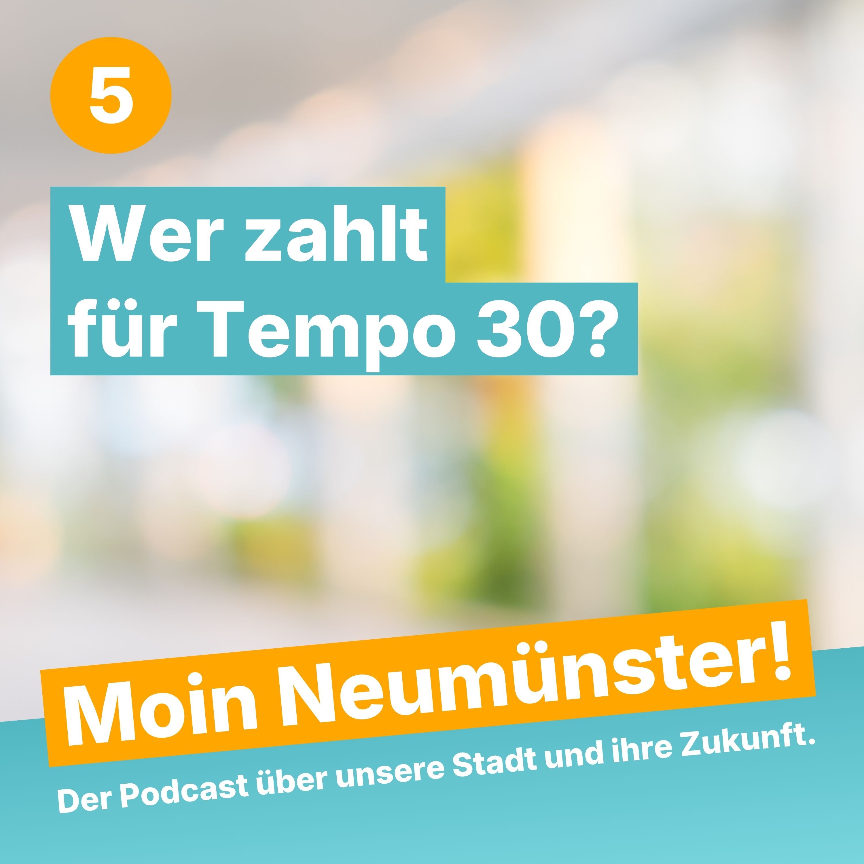 Moin Neumünster (5) – Wer zahlt für Tempo 30?