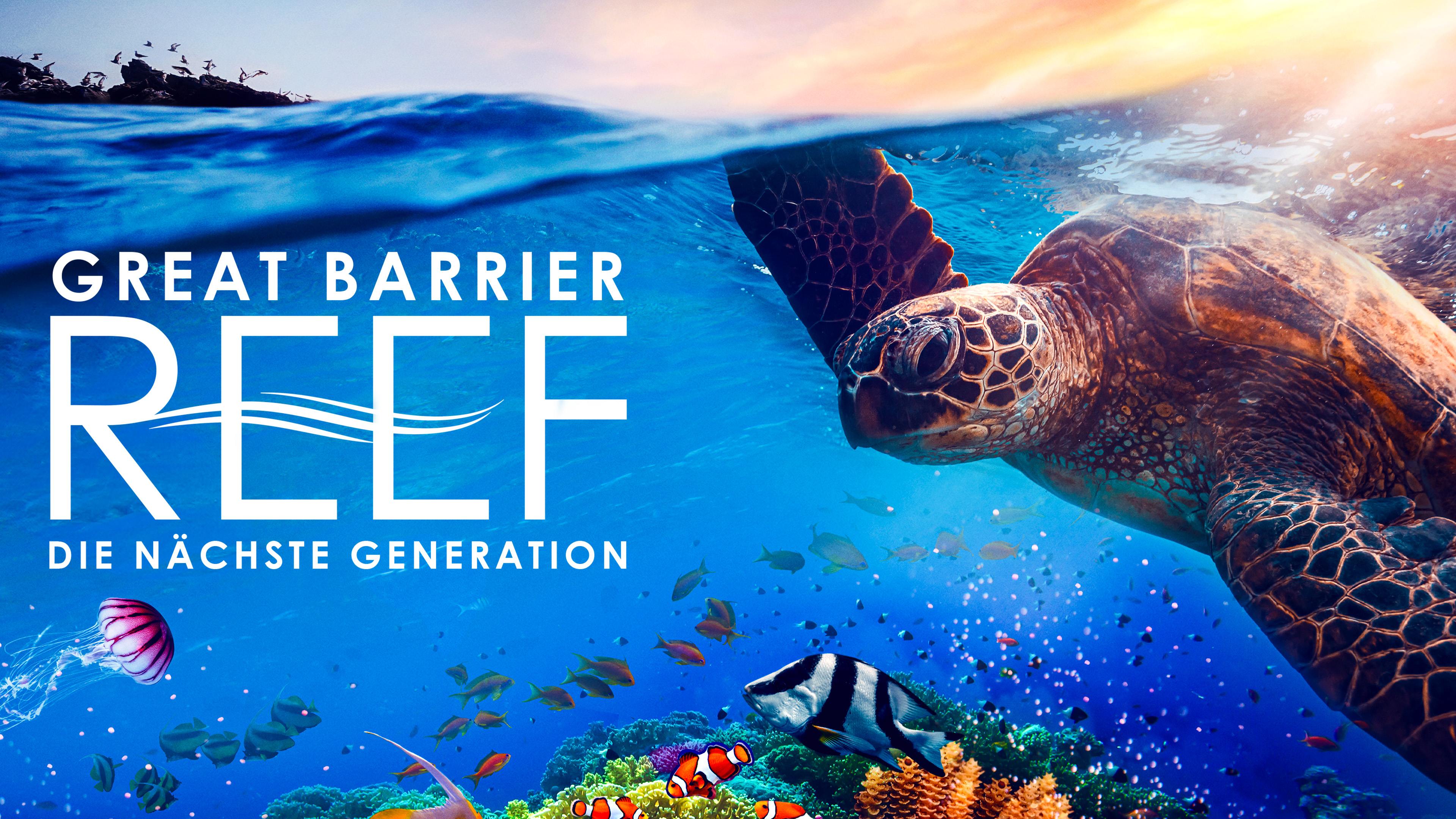 Great Barrier Reef - Die nächste Generation