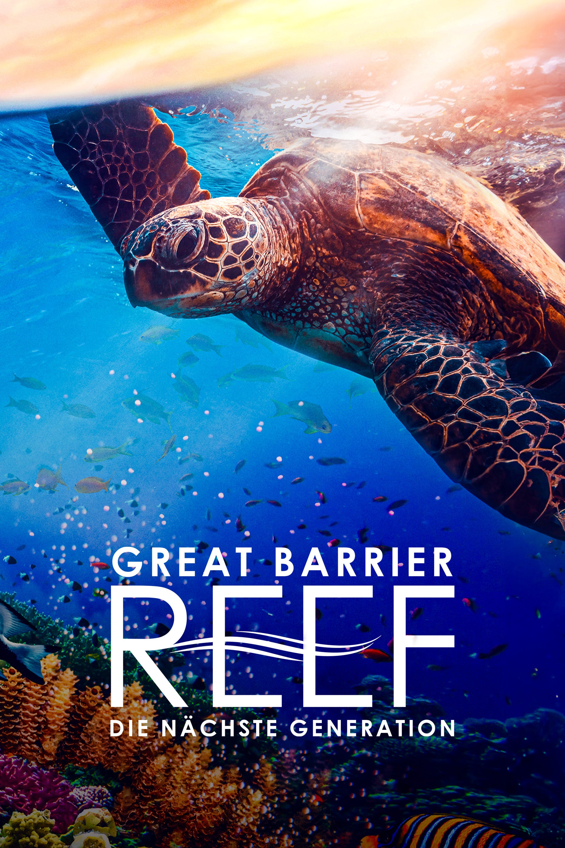 Great Barrier Reef - Die nächste Generation