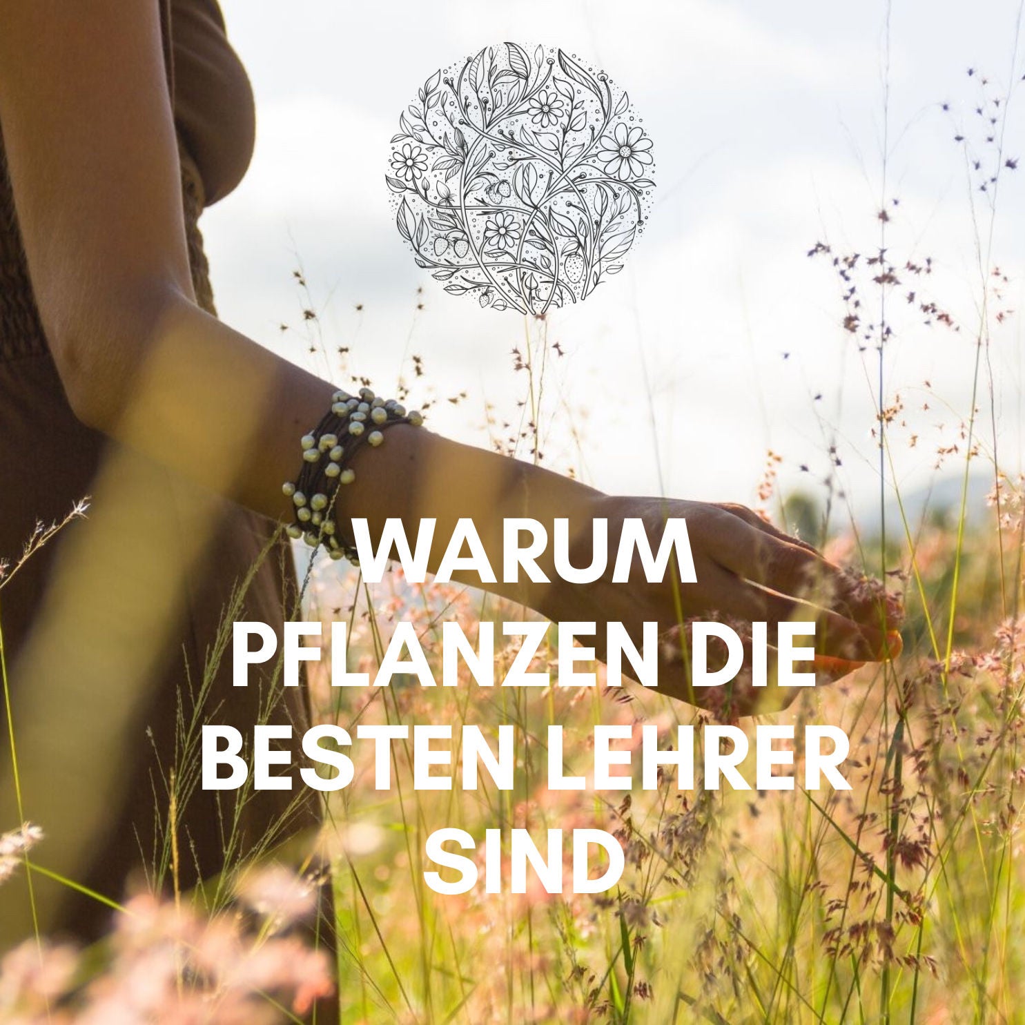 Warum Pflanzen die besten Lehrer sind