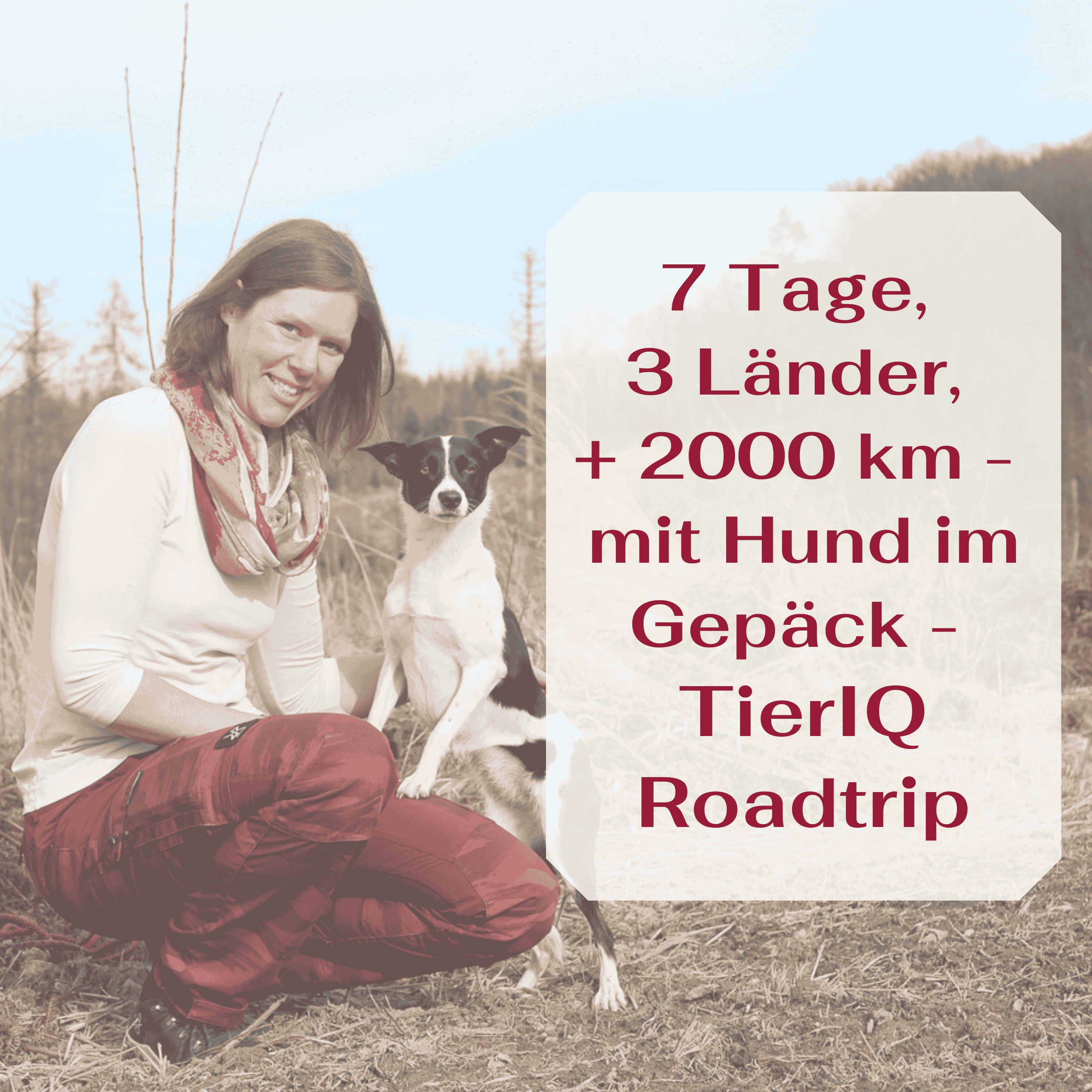 7 Tage, 3 Länder, + 2000 km - mit Hund im Gepäck - TierIQ Roadtrip