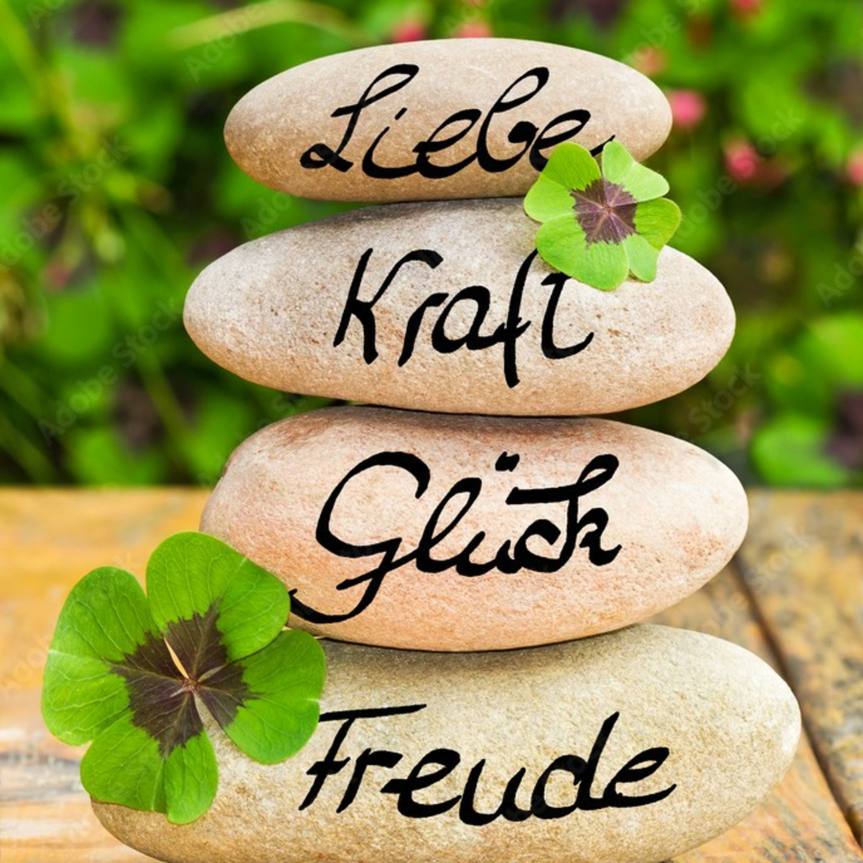 Komm mit auf eine Reise