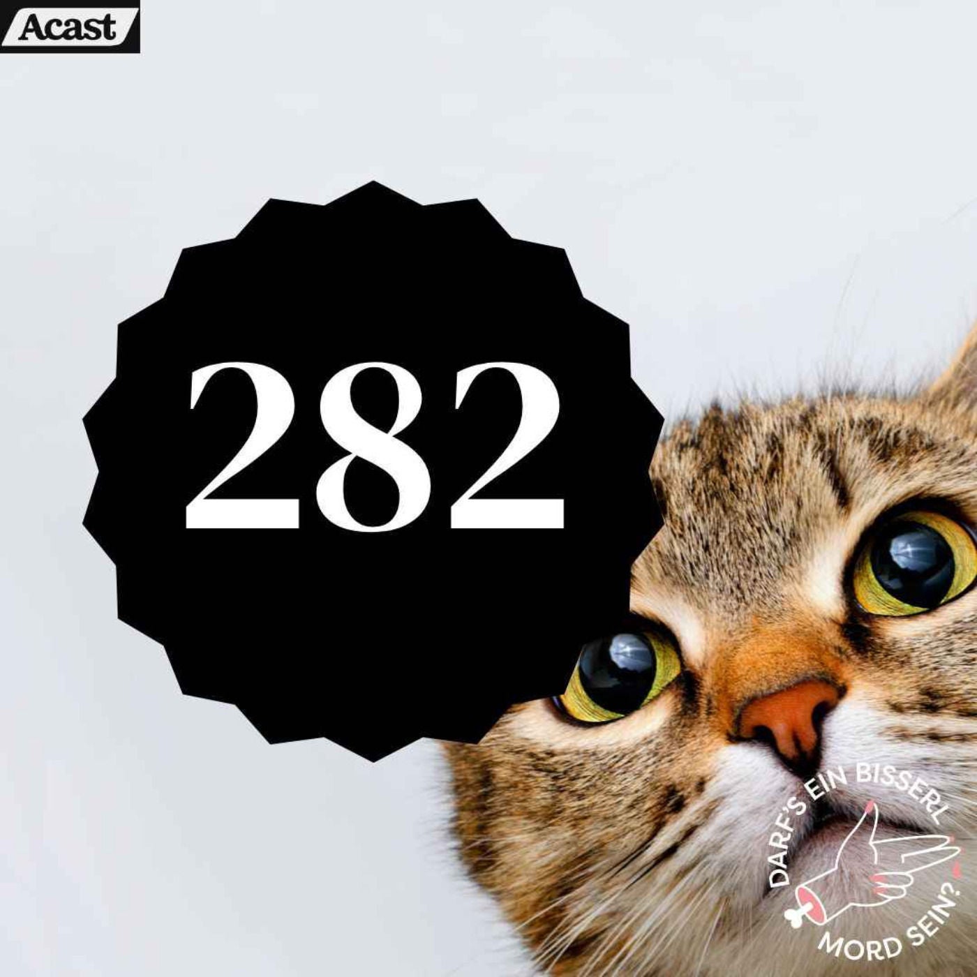 Episode 282: Die Katzen-Sekte