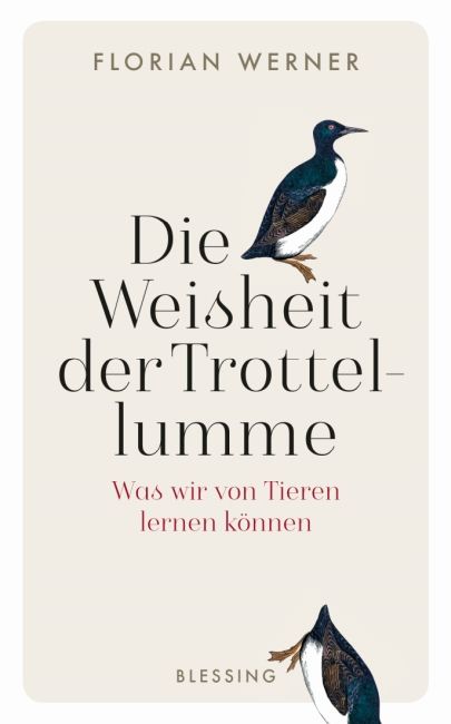 [Podcast] Die Weisheit der Trottellumme von Florian Werner - Philosophie im Federkleid – Was wir von Tieren über das Leben lernen können