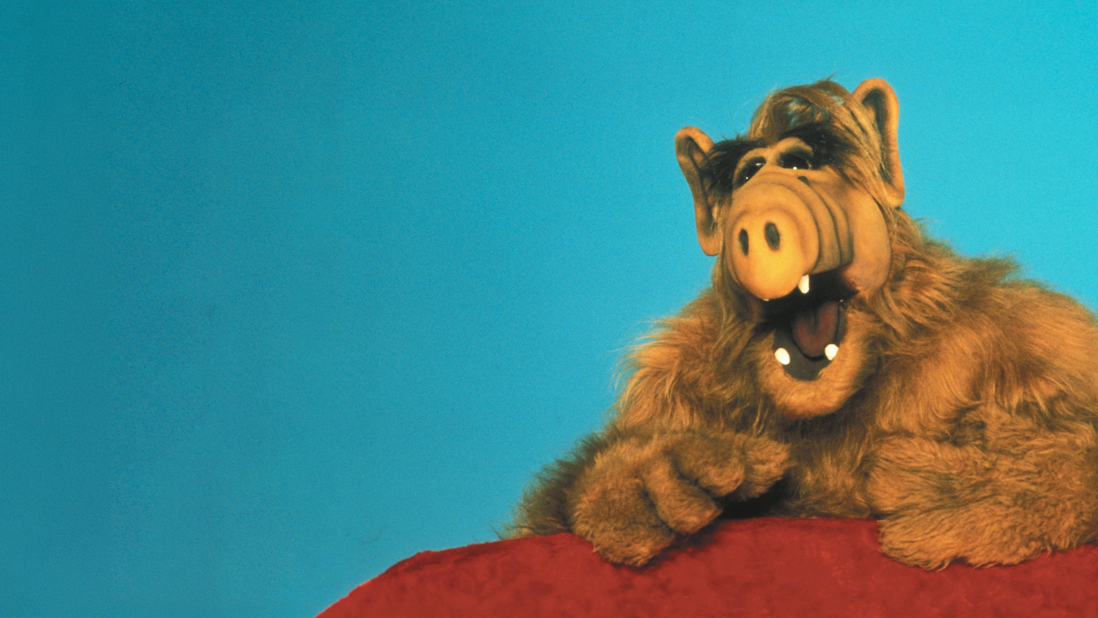 Alf