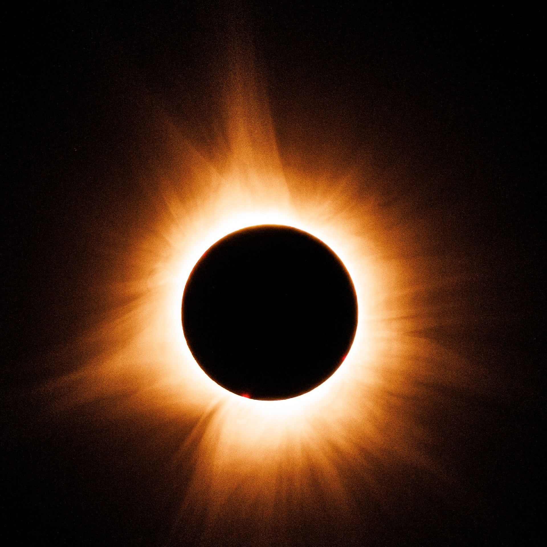 Bei einer totalen Sonnenfinsternis deckt der Mond genau die Sonne ab – Zufall?
