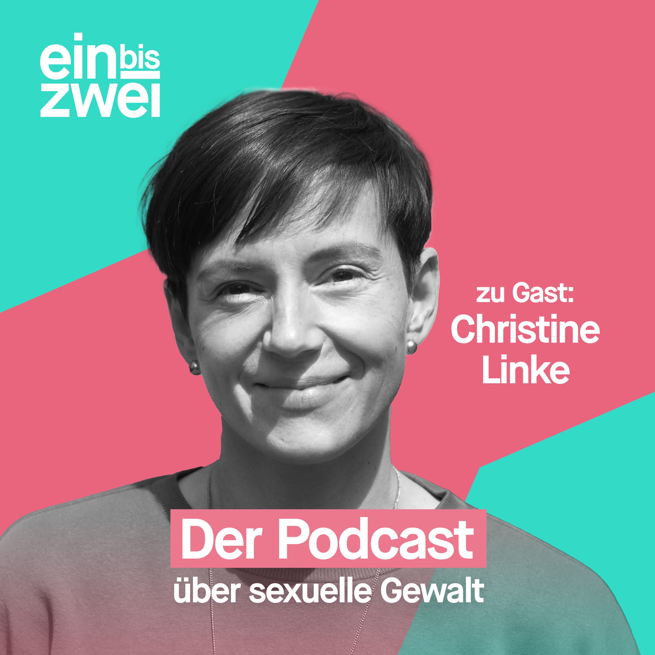 Wieso beschäftigt sich das Fernsehen so gerne nur mit Tätern, Christine Linke?