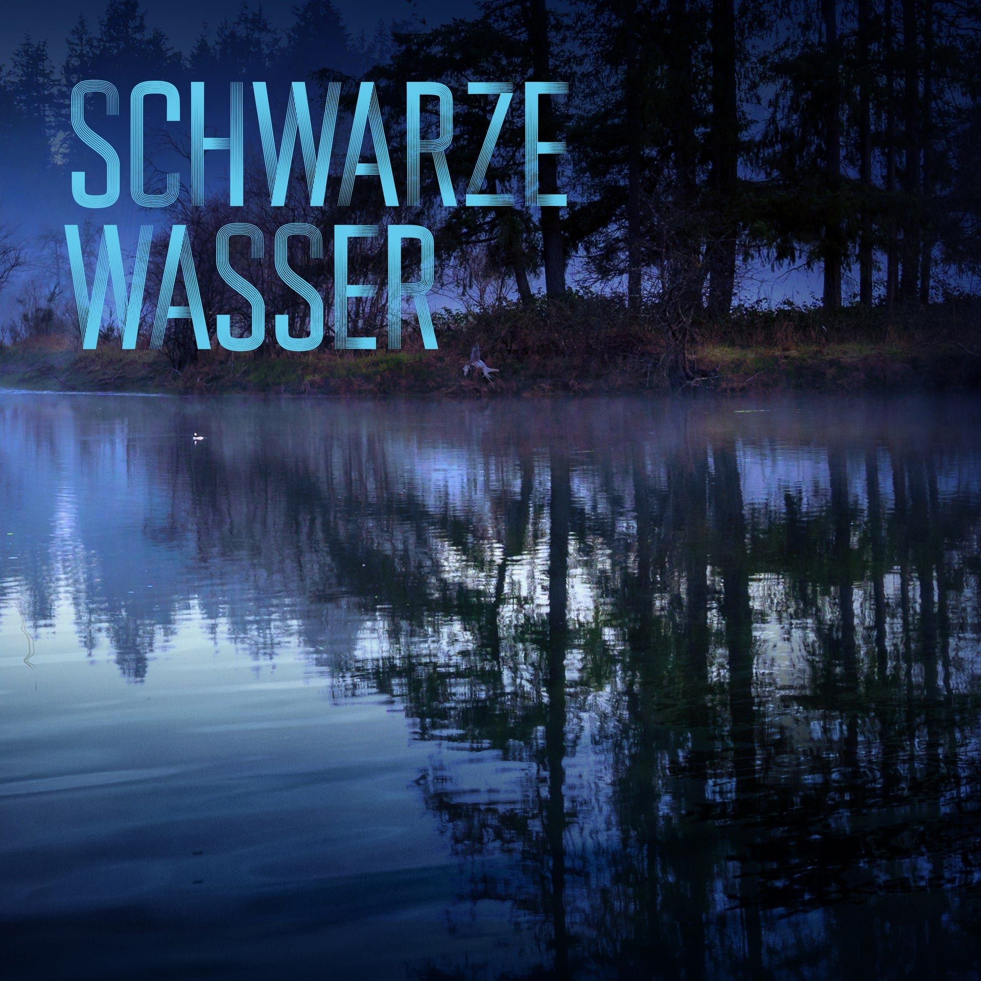 Schwarze Wasser (2/2): Schwedischer Nordic Noir Krimi