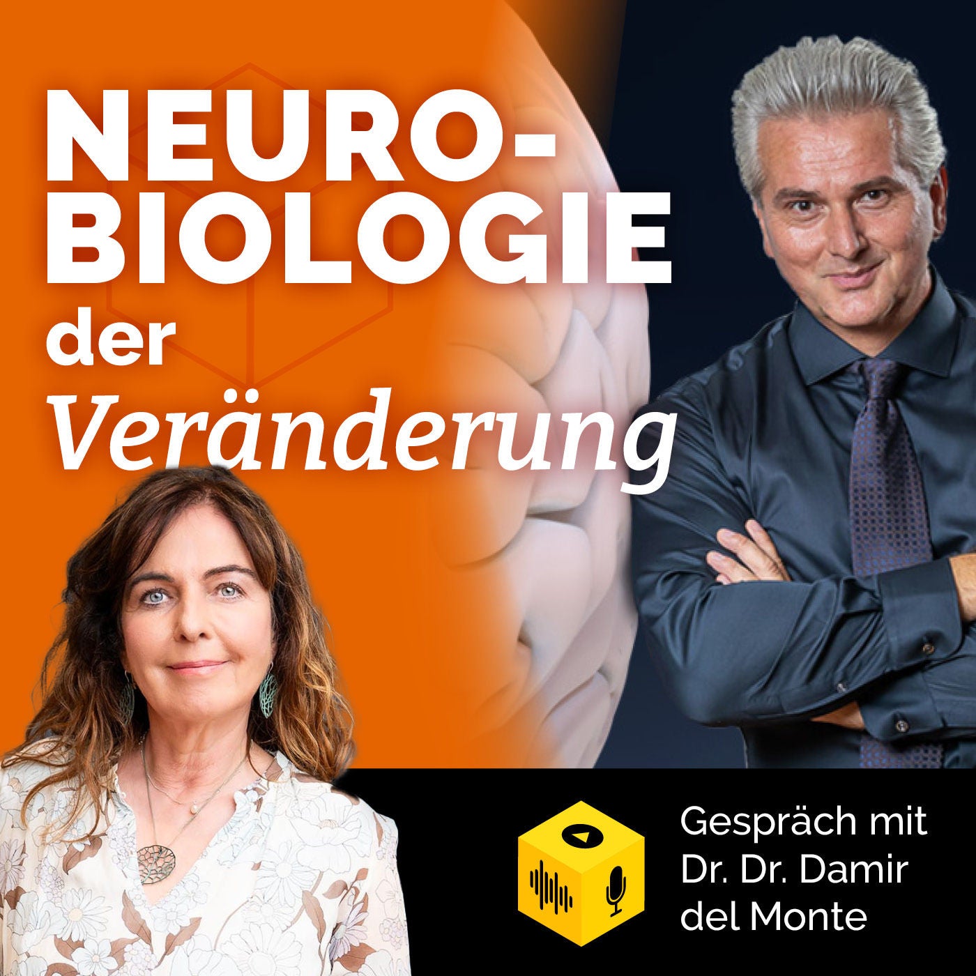Neurobiologie der Veränderung