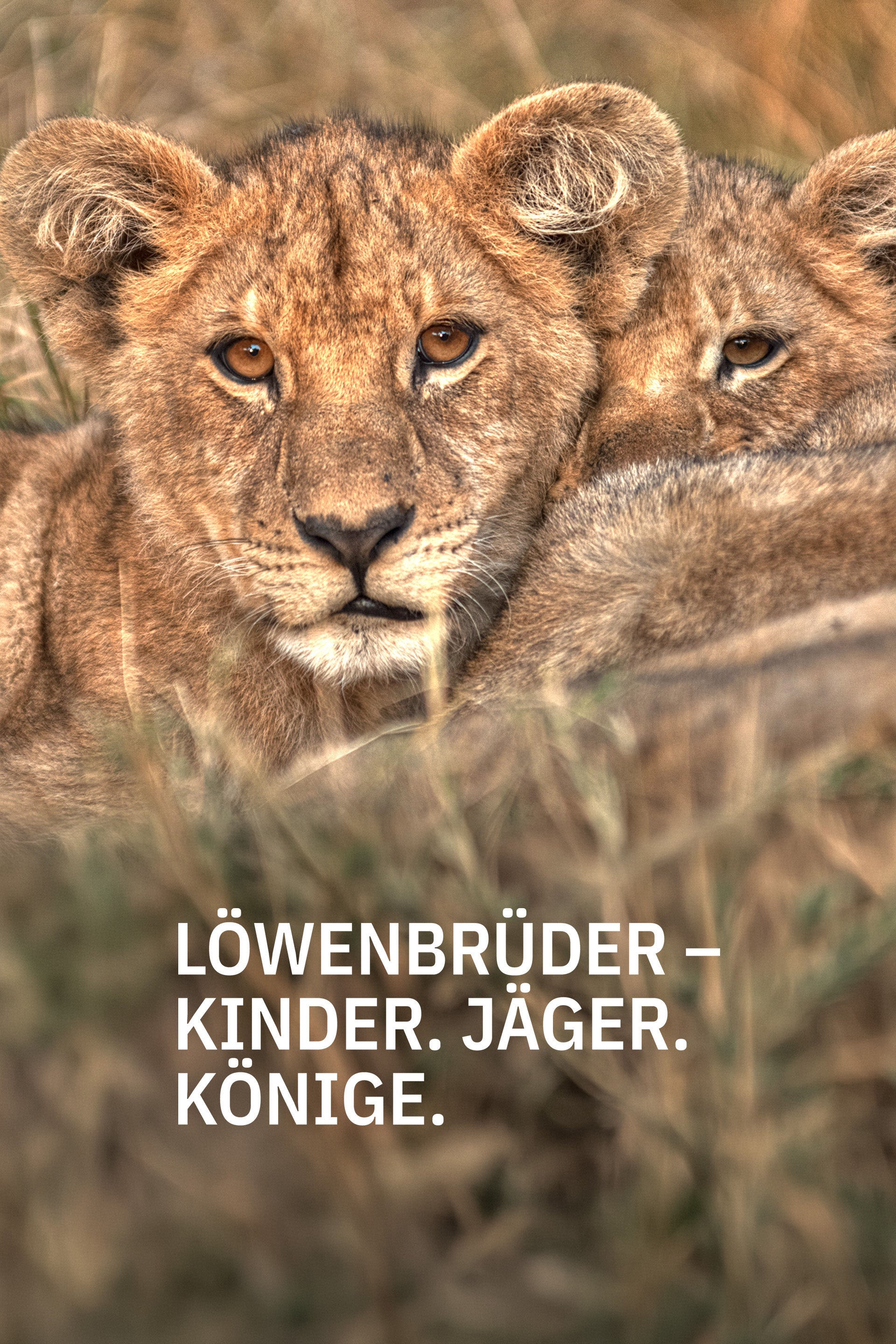 Löwenbrüder - Kinder. Jäger. Könige.