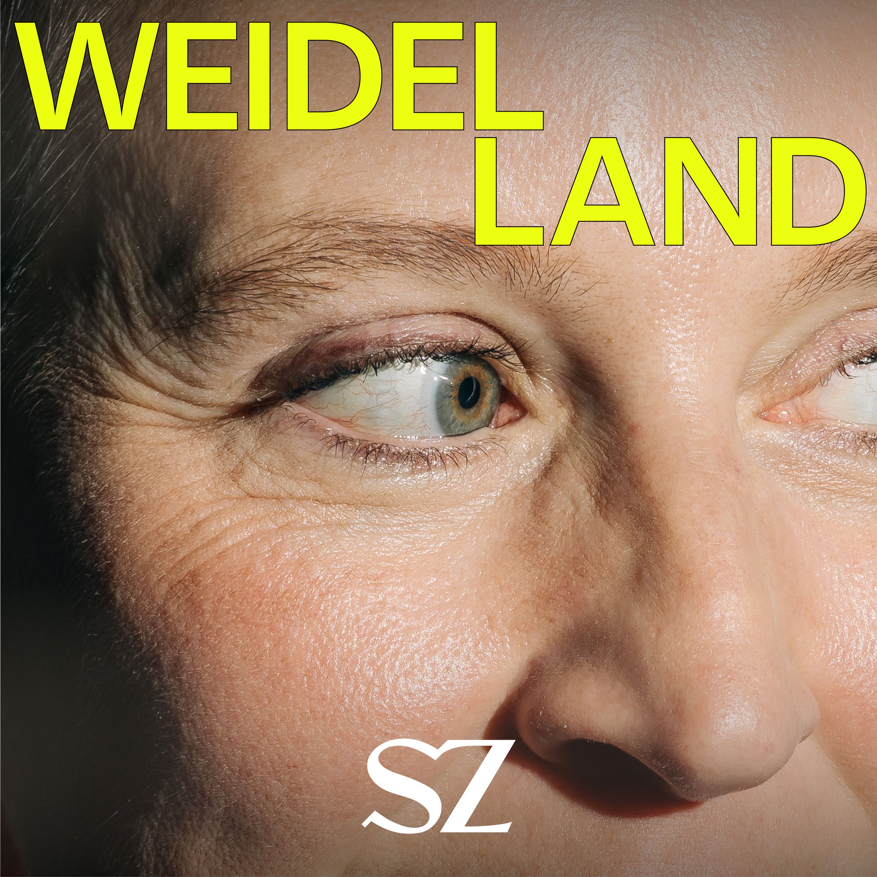 Weidelland – Die AfD und ihr Weg zur Macht