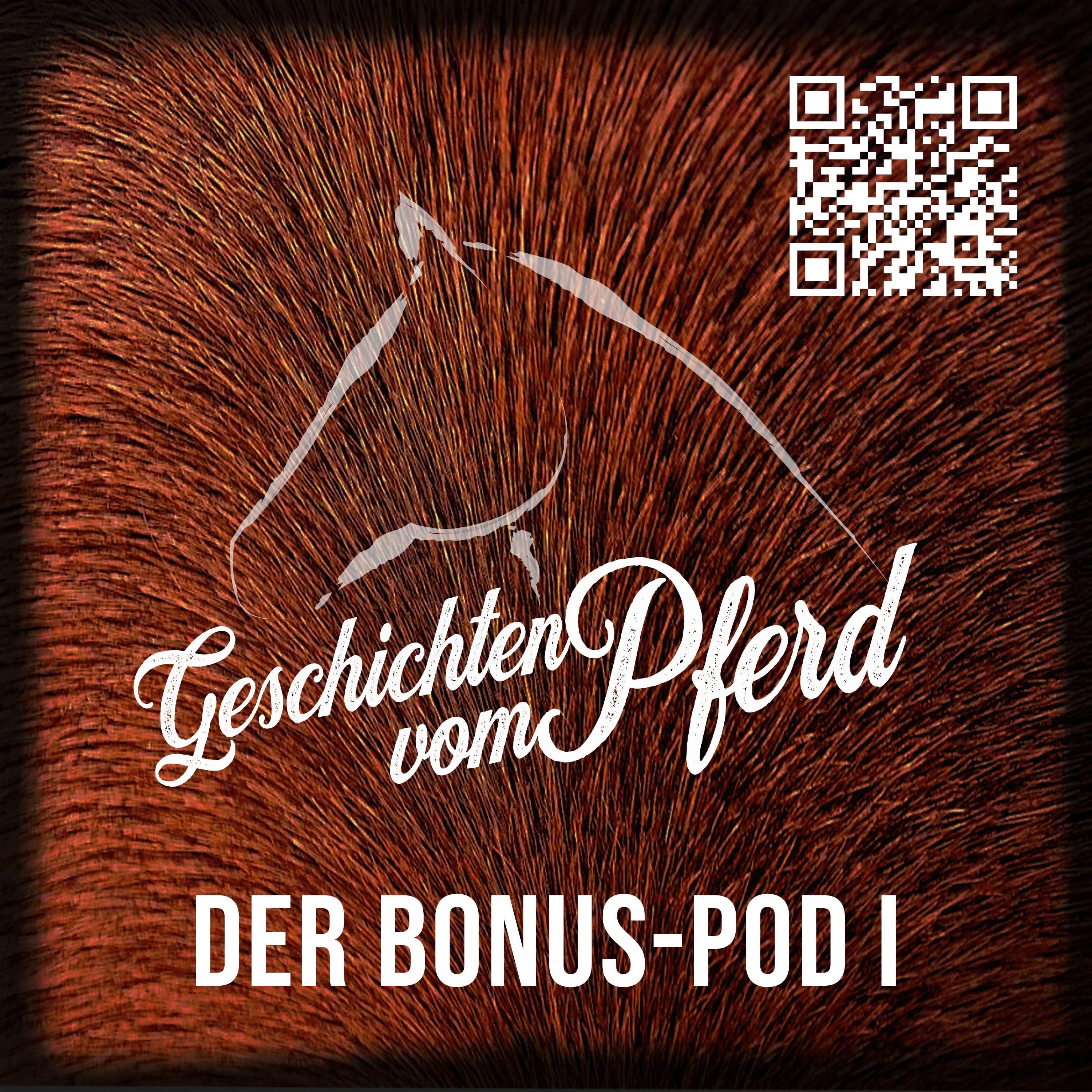 Bonus-Pod I