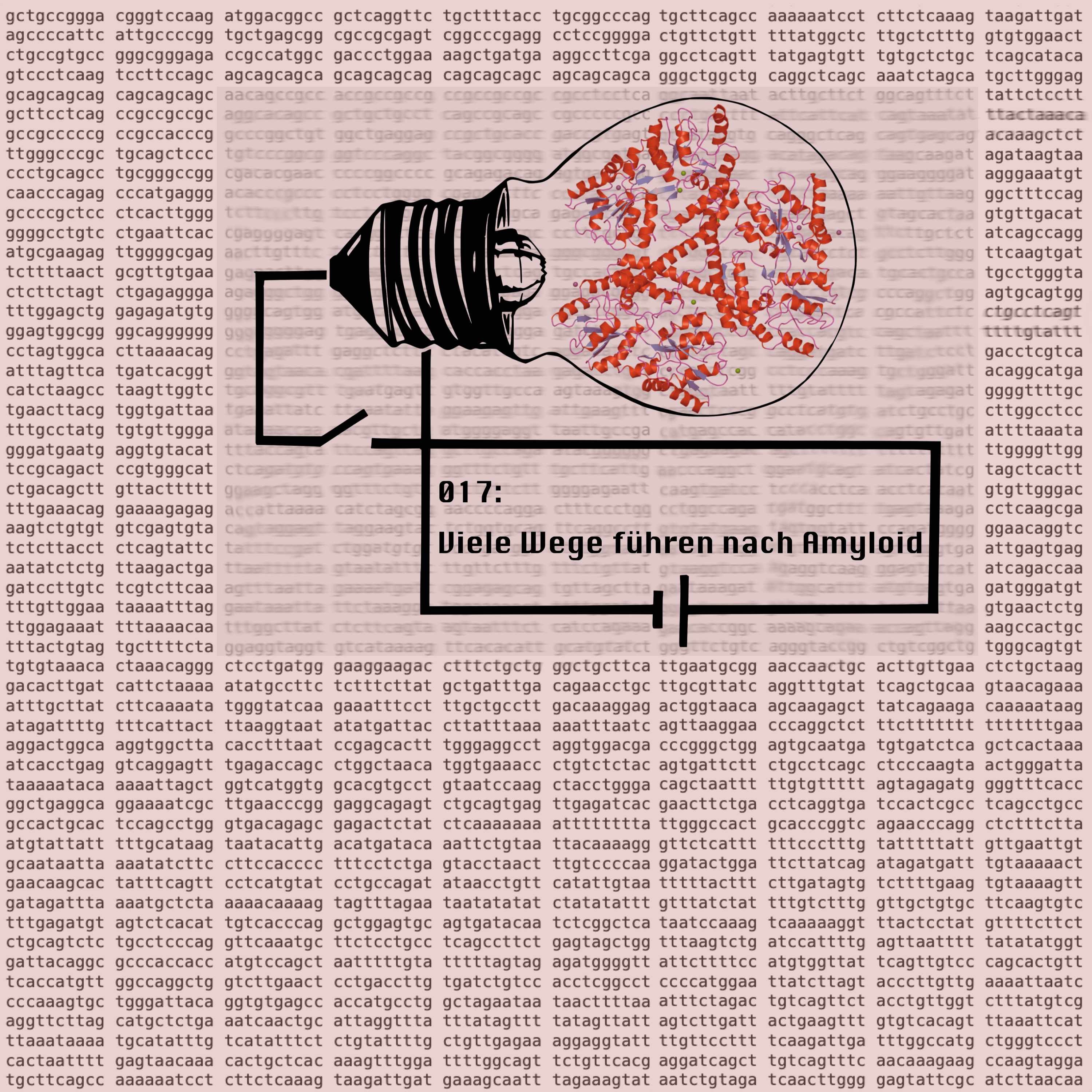 Viele Wege führen nach Amyloid