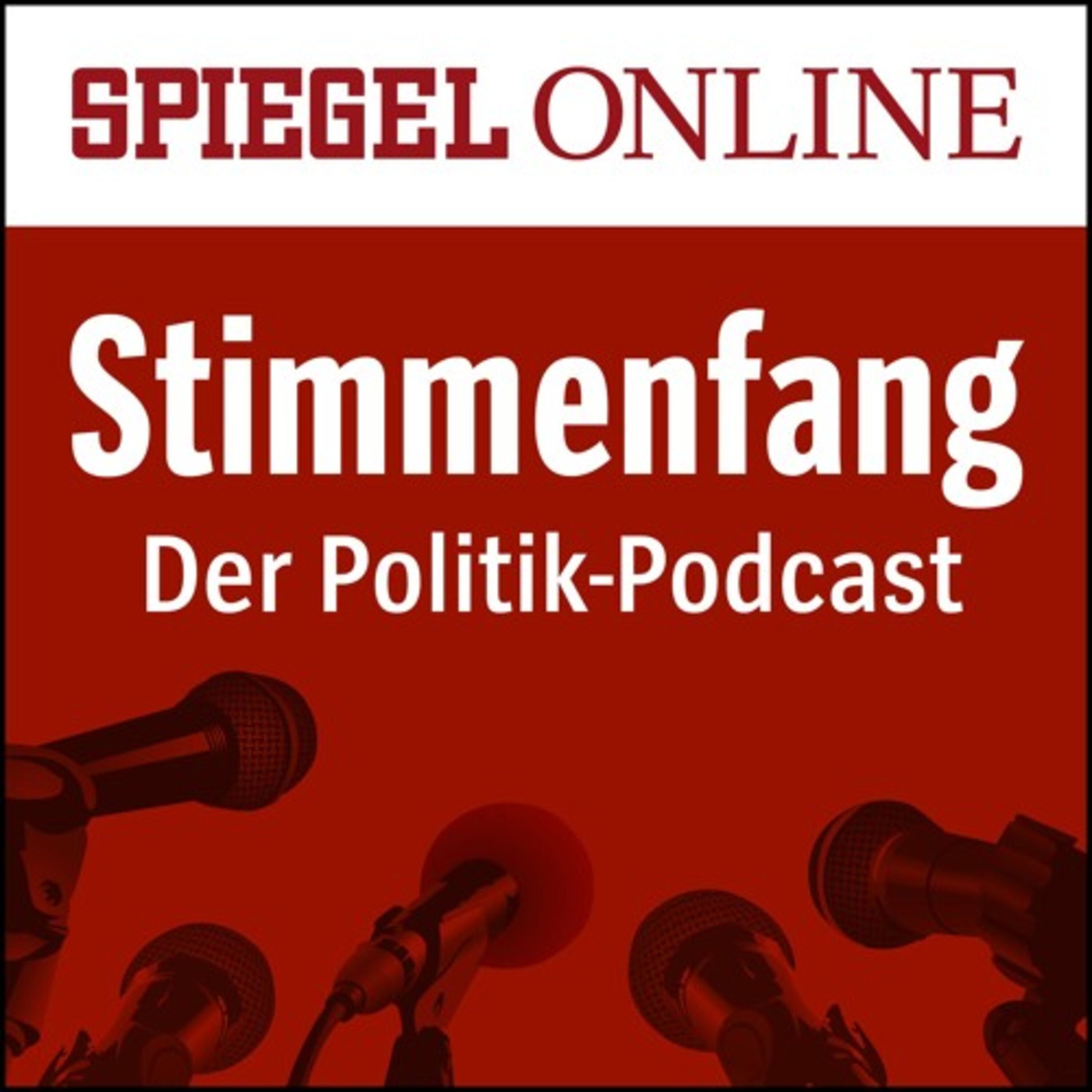 Die Wutwähler