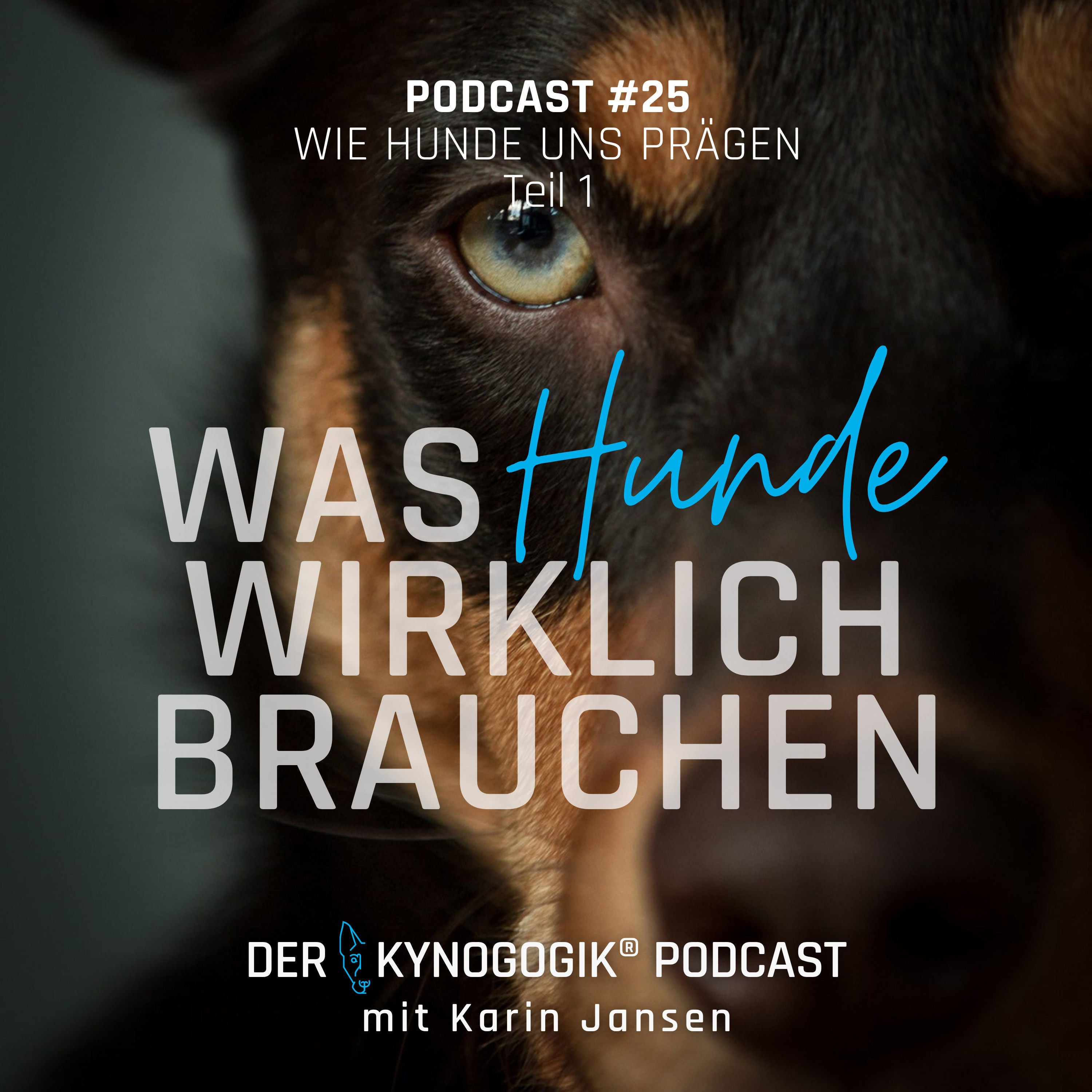 Wie Hunde uns prägen