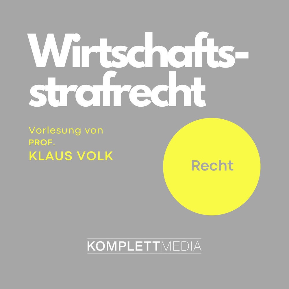 Wirtschaftsstrafrecht