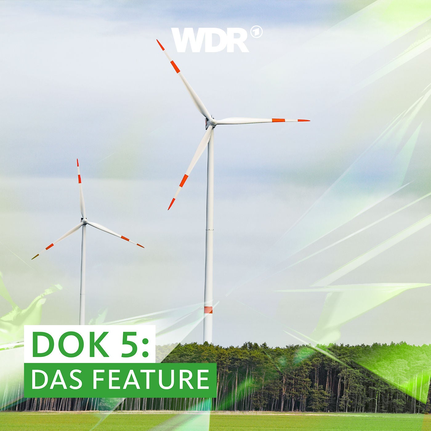 Kulturkampf im Wald – Wie Bürgerinitiativen gegen Windkraft kämpfen