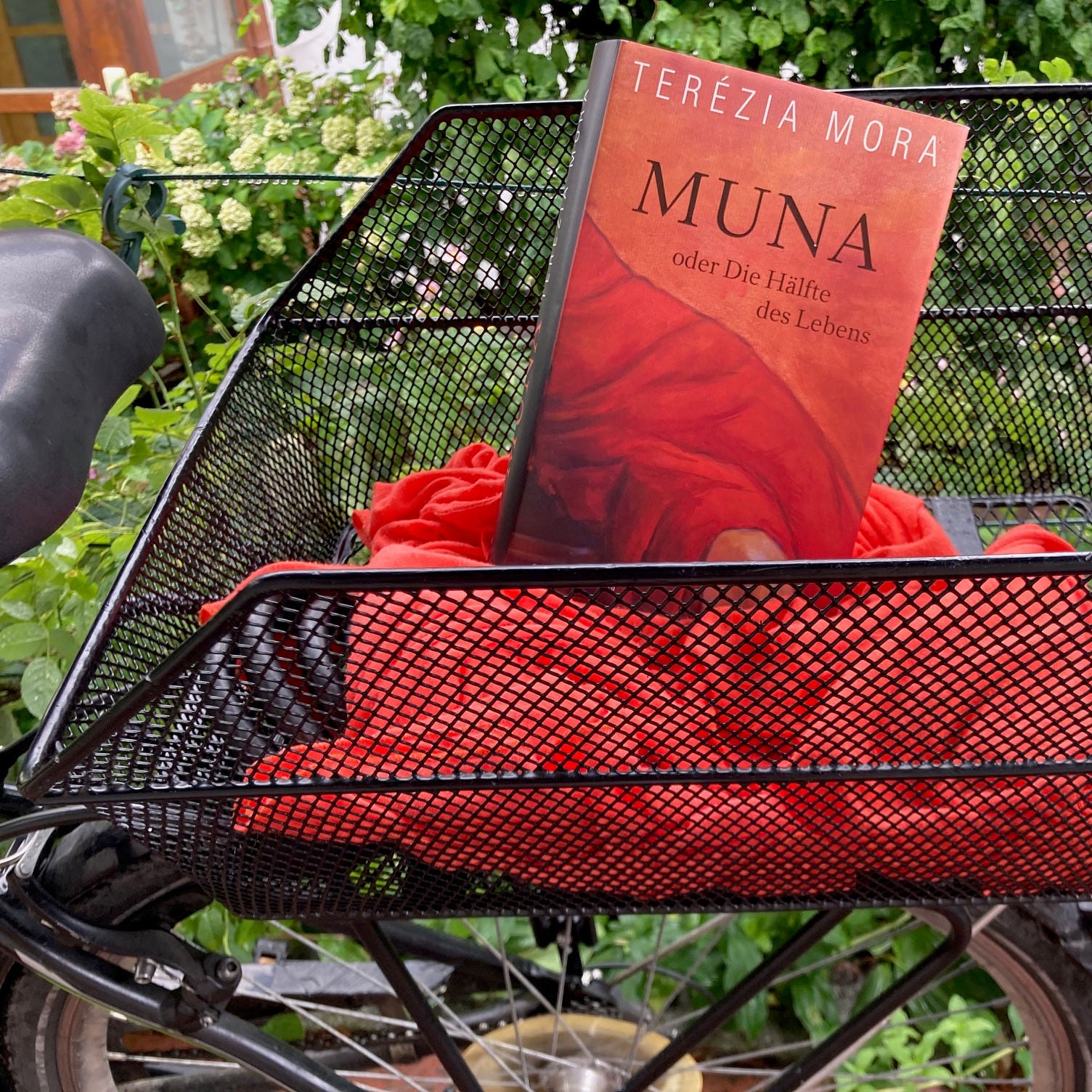 Terézia Mora: Muna oder Die Hälfte des Lebens