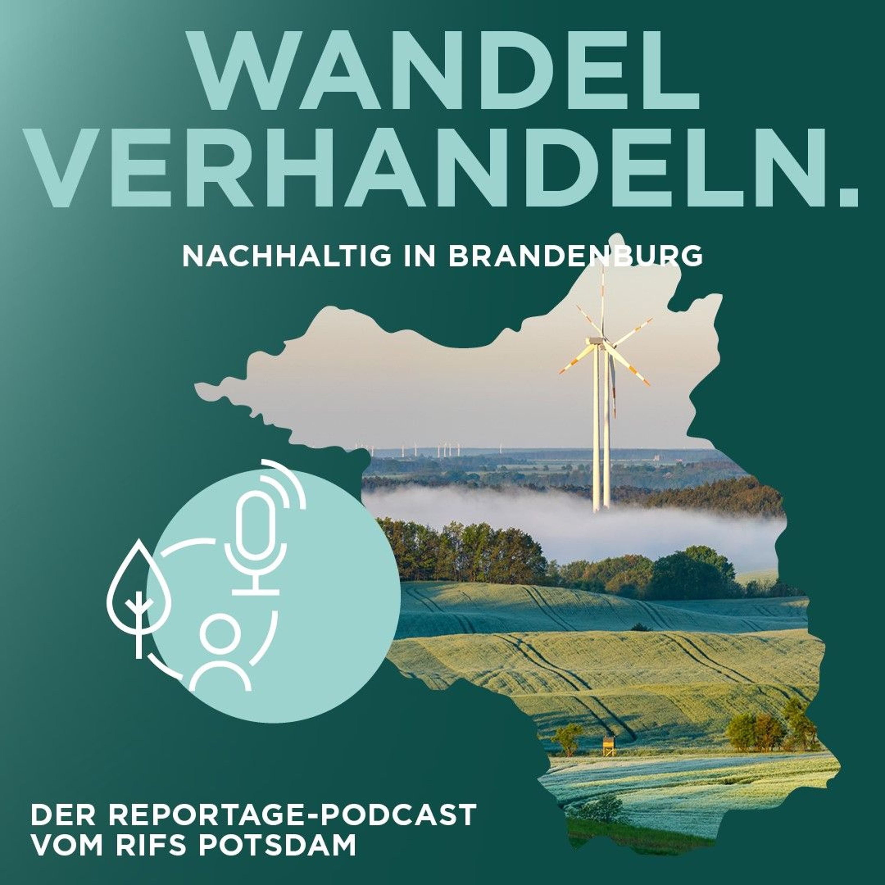 Wandel verhandeln #2: Potsdams autoarme Innenstadt
