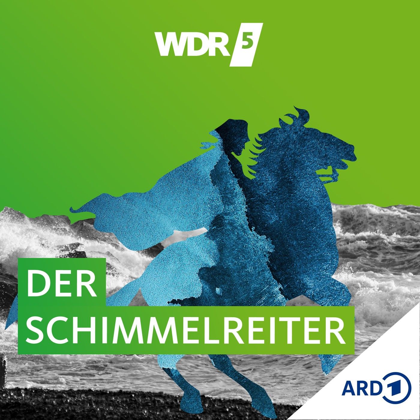 Der Schimmelreiter - Trailer