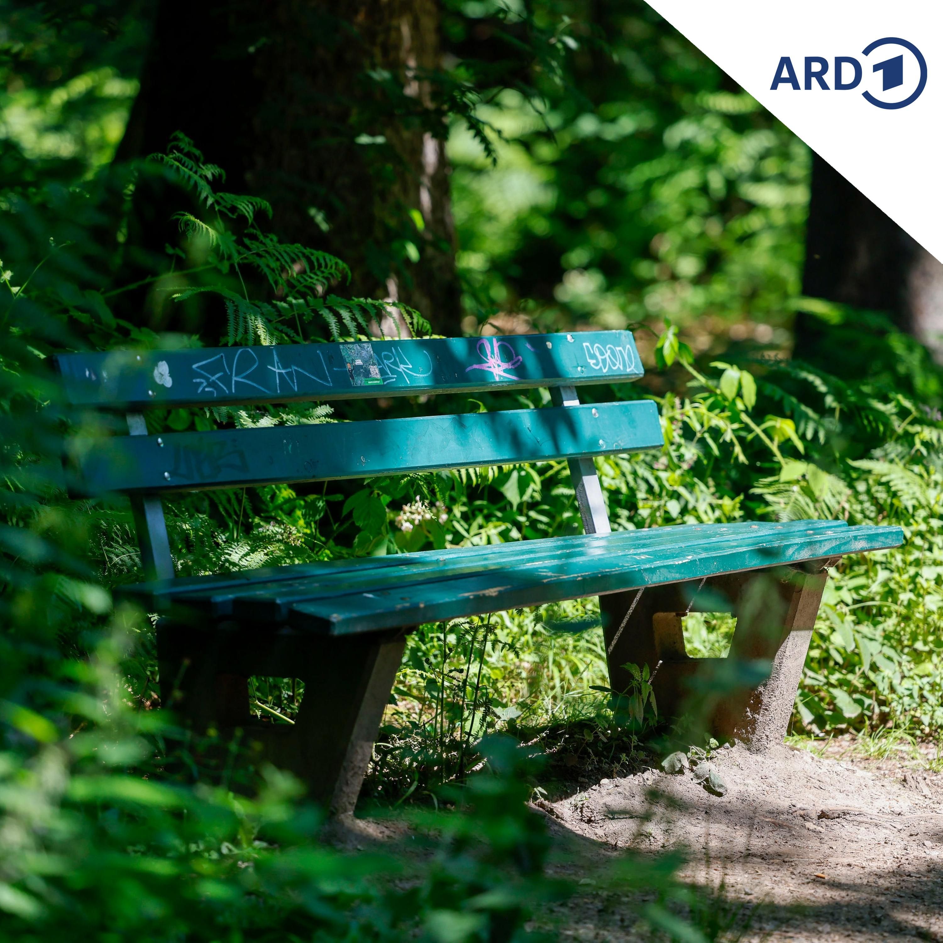 Wenn Sitzbänke im Wald zum Risiko werden