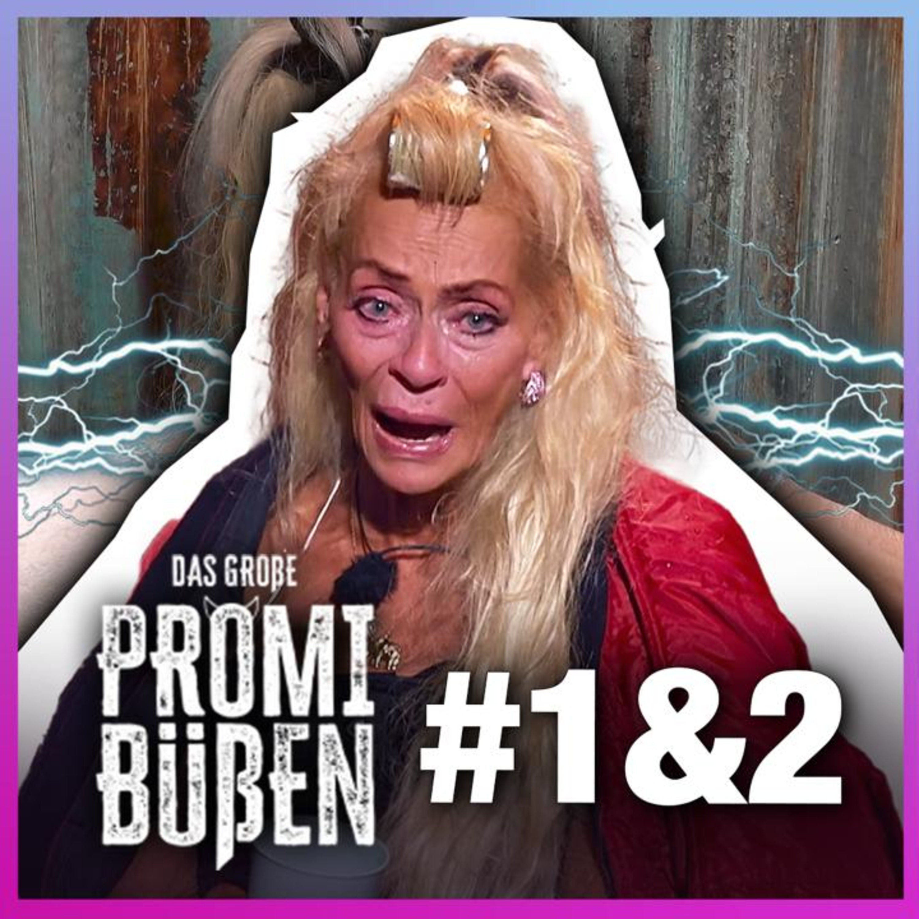 Das hat SIE nicht gesagt! - Promi Büßen #1+2