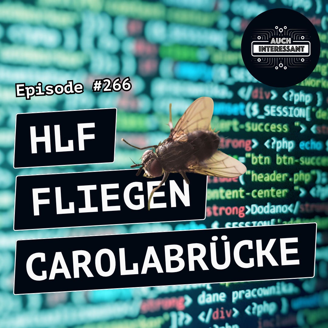 #266 HLF, Fliegen, Carolabrücke