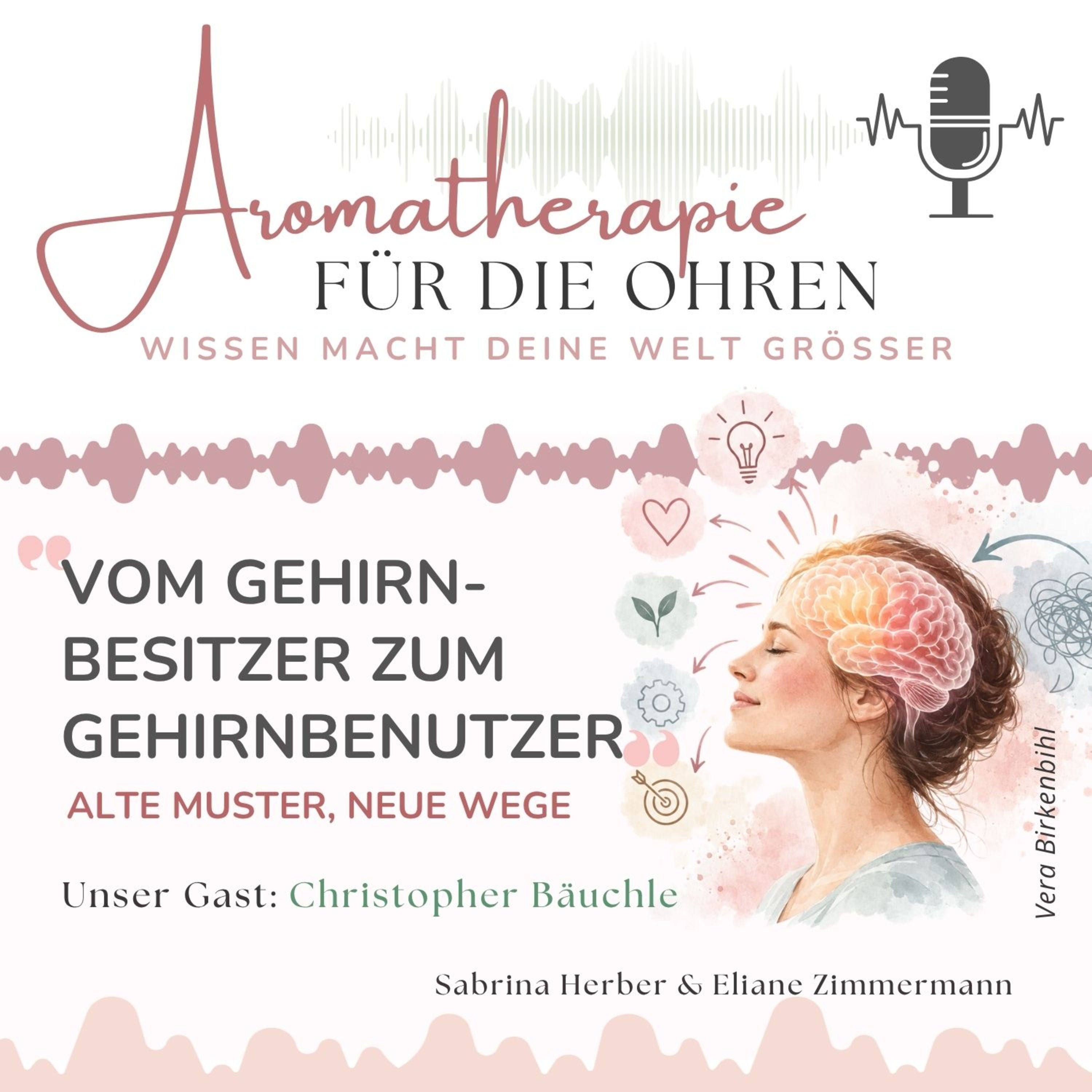 Vom Gehirnbesitzer zum Gehirnbenutzer: Alte Muster, neue Wege