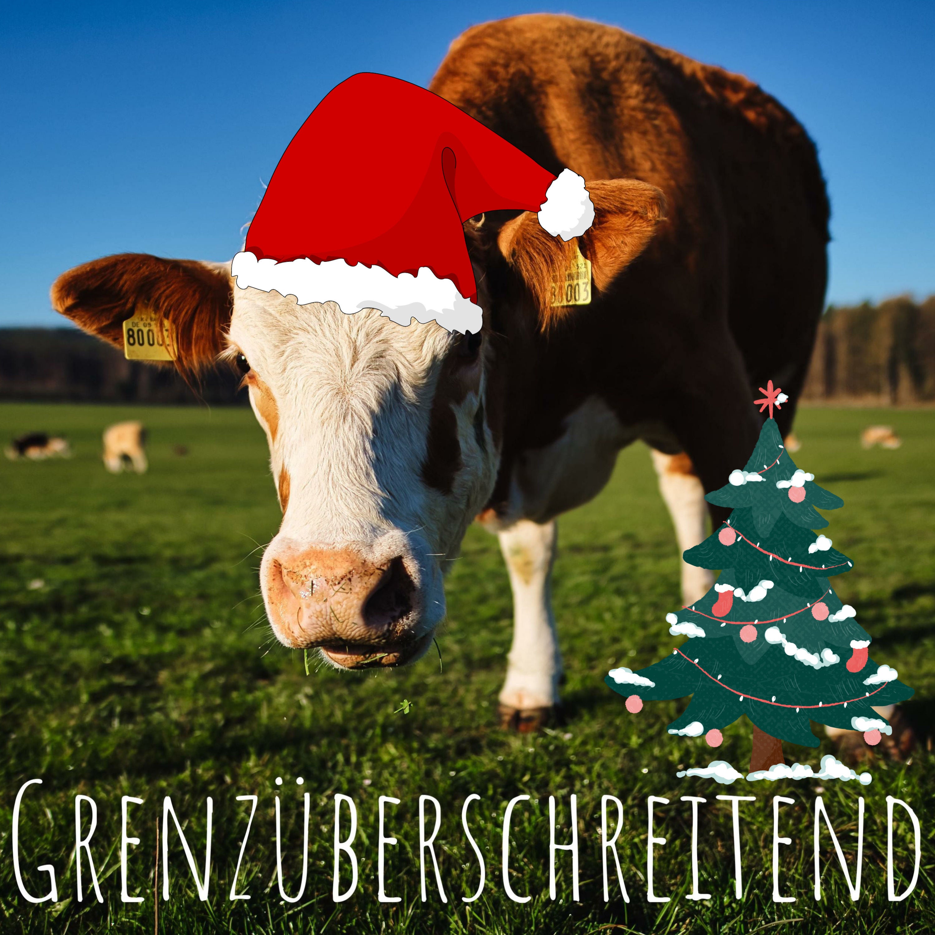 #8 - Adventskalender-Spezial - Türchen Nr. 8