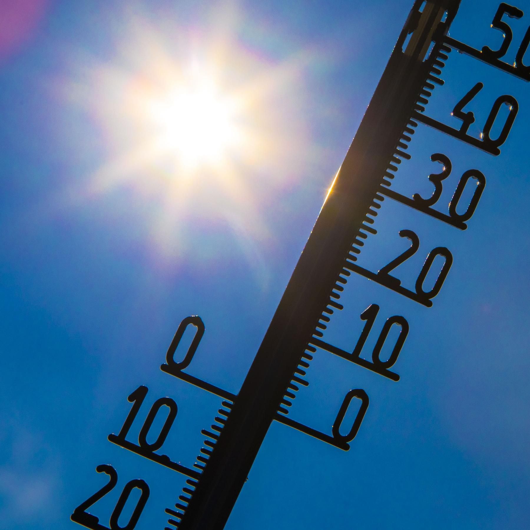 75 Jahre Weltorganisation für Meteorologie, Trockenheit in Bayern nicht besiegt, Vielversprechende Malariaimpfstoffe