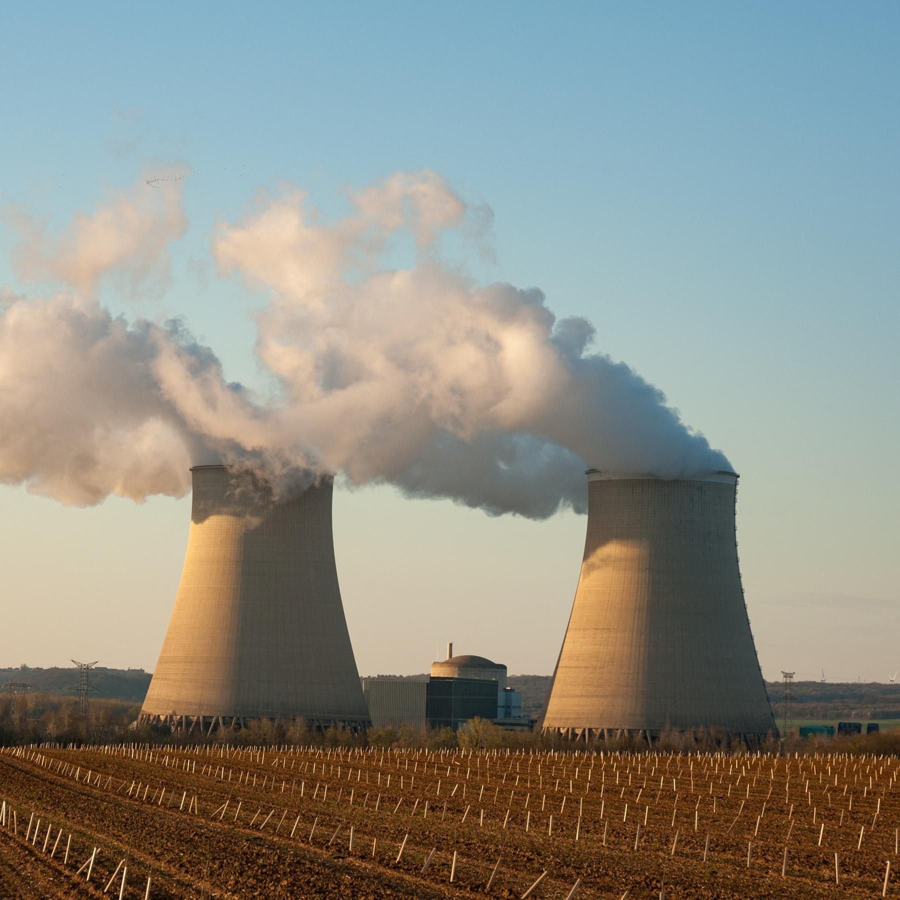 Renaissance der Atomenergie? Ende von Tierversuchen?