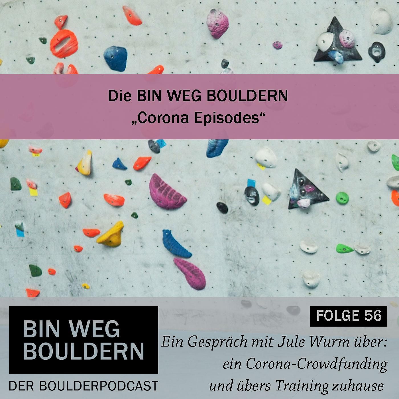 Jule Wurm und das Corona Crowdfunding