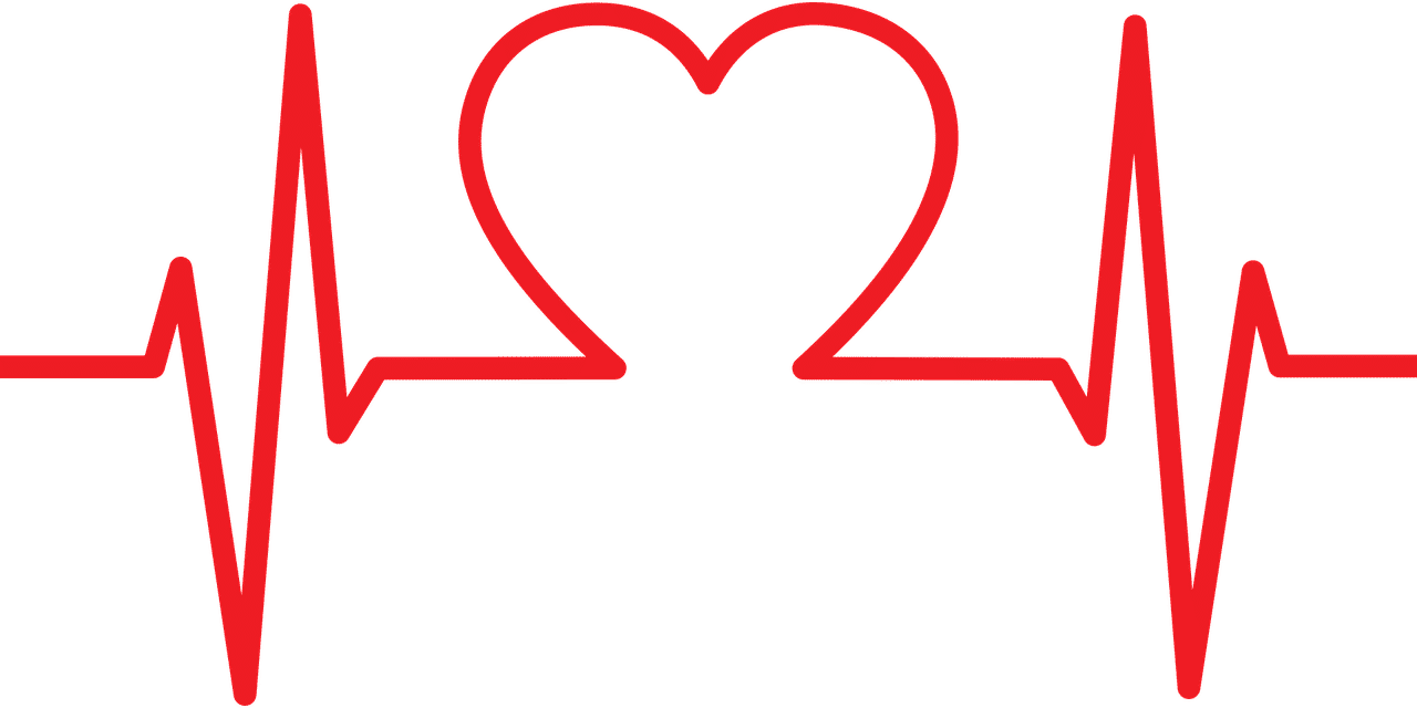 Vitamine und Nahrungsergänzung – Vitamin K