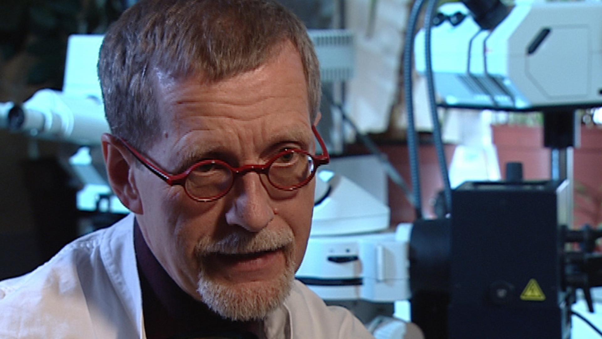 Medical Detectives - Geheimnisse der Gerichtsmedizin
