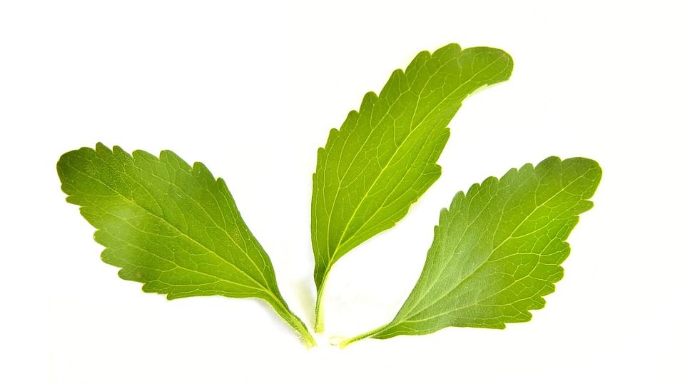 Zuckeralternativen Teil 6 : Stevia