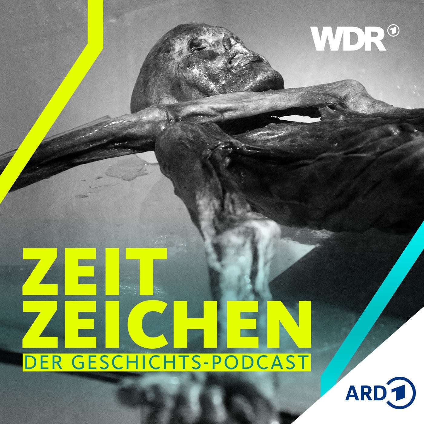 Die Akte Ötzi: Wie starb der Steinzeit-Mann?