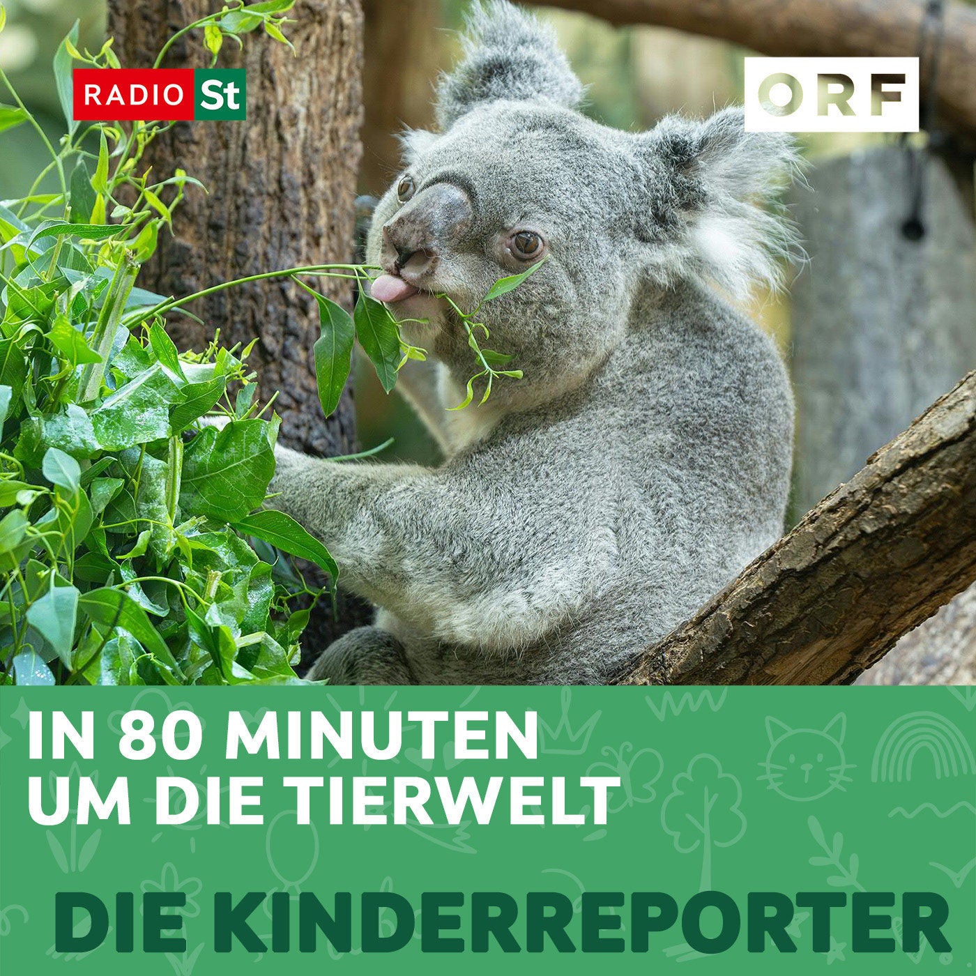 In 80 Minuten um die Tierwelt