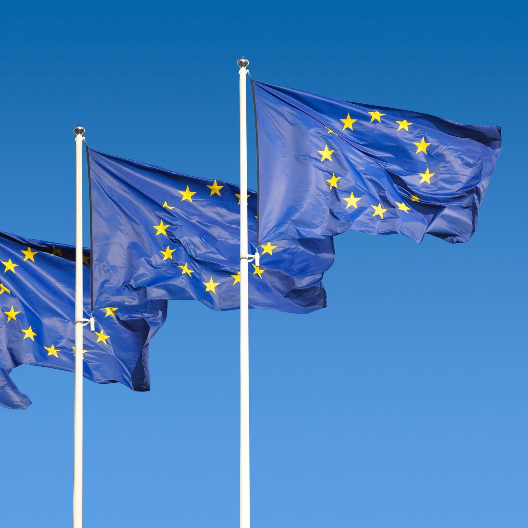 Verbrenner-Streit und Bankenunion: Ist Deutschland der Bremsklotz in der EU?