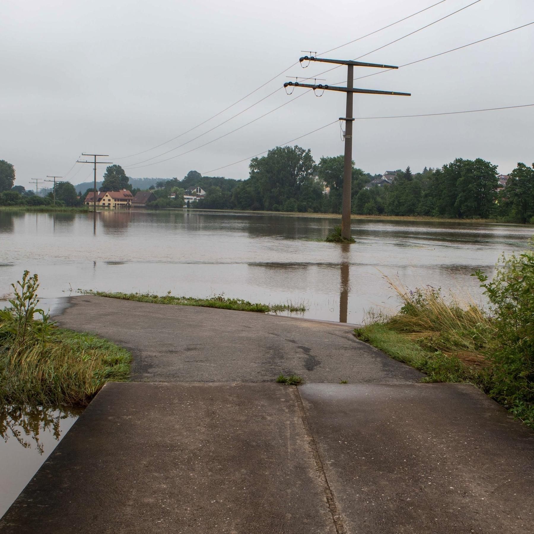 Krisensichere Infrastruktur, Vorhersagemodelle für Hochwasser, Glühwürmchen