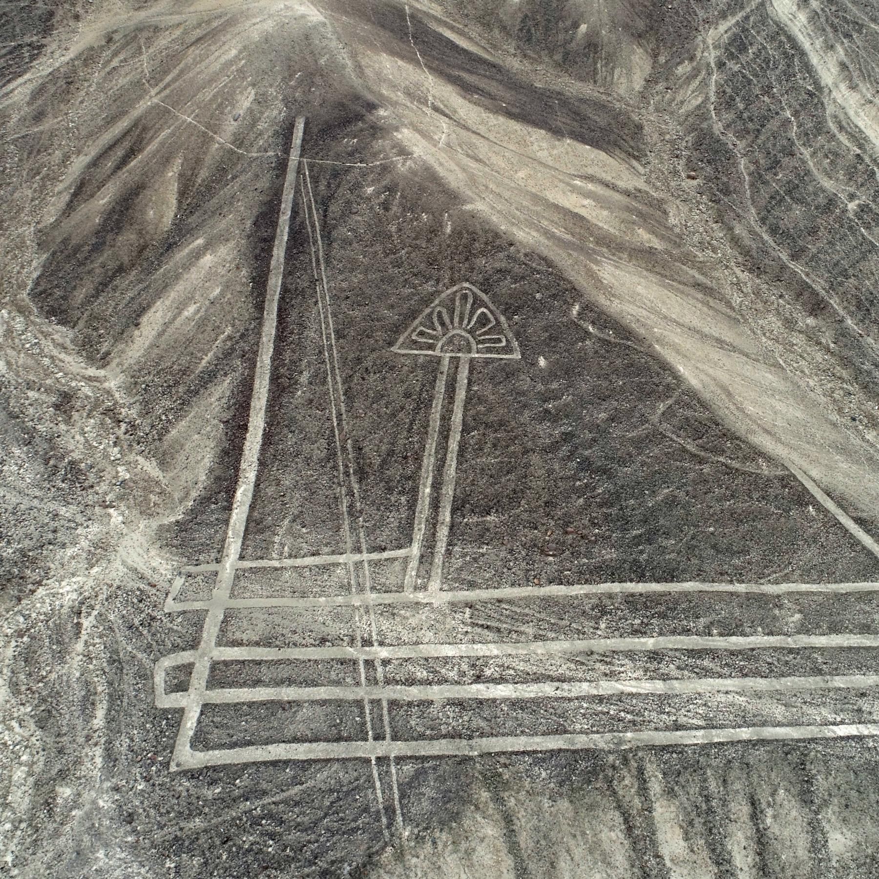 Faszination Nazca-Linien, Kommunikation von Tumorzellen, Ötzis Todesort