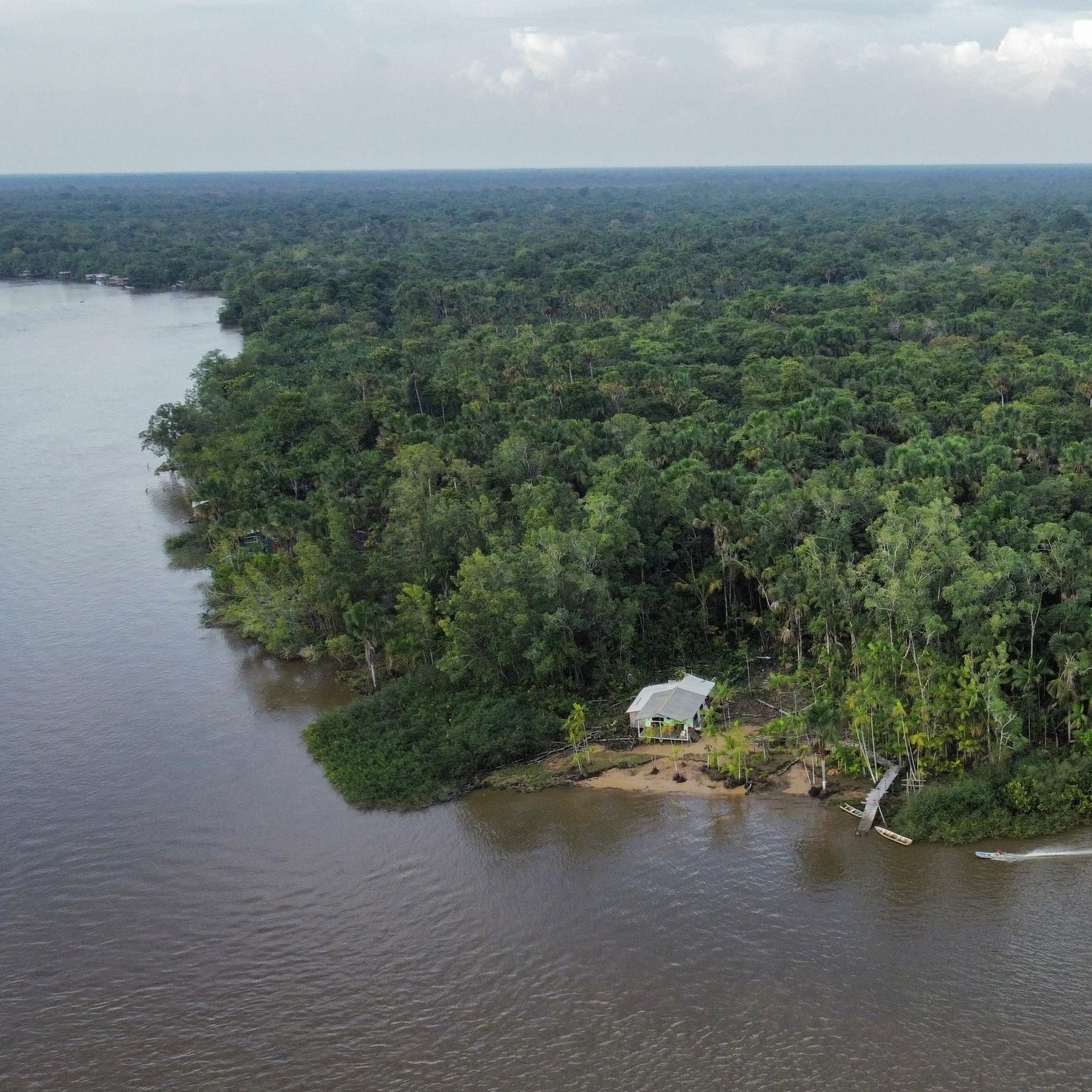 Biopiraterie am Amazonas, Strom der Zukunft, Gefährliches Vogelgrippevirus, Löwen in Ruanda