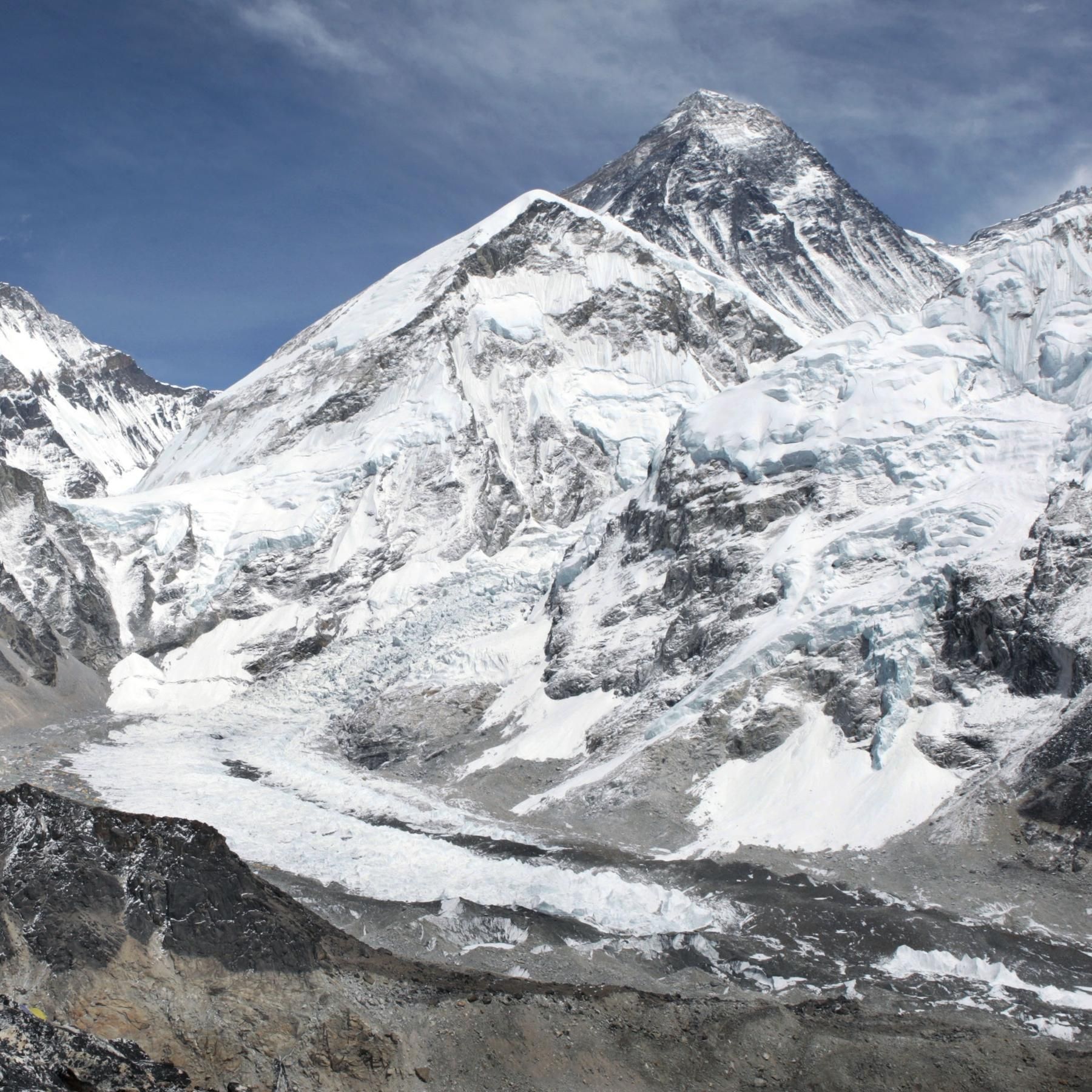 #95 Der Mount Everest wird immer höher! | Achtung verschleppte Lungenentzündung - Mykoplasmen | Kraken und Fische jagen gemeinsam