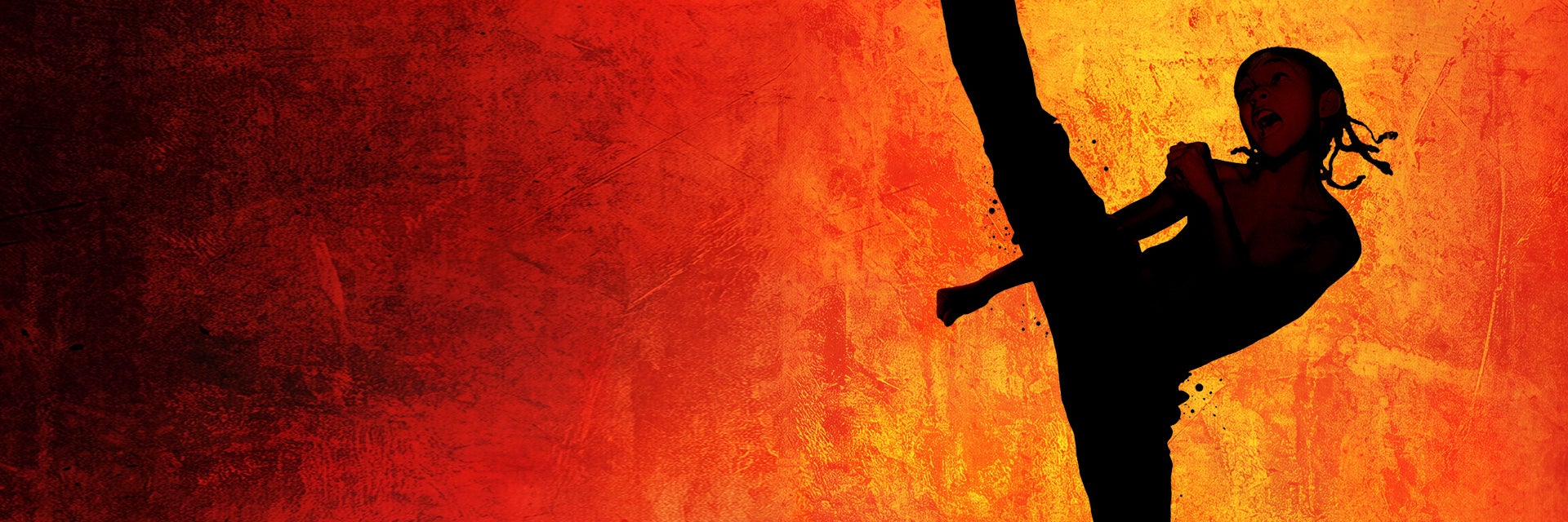 Karate Kid (2010)